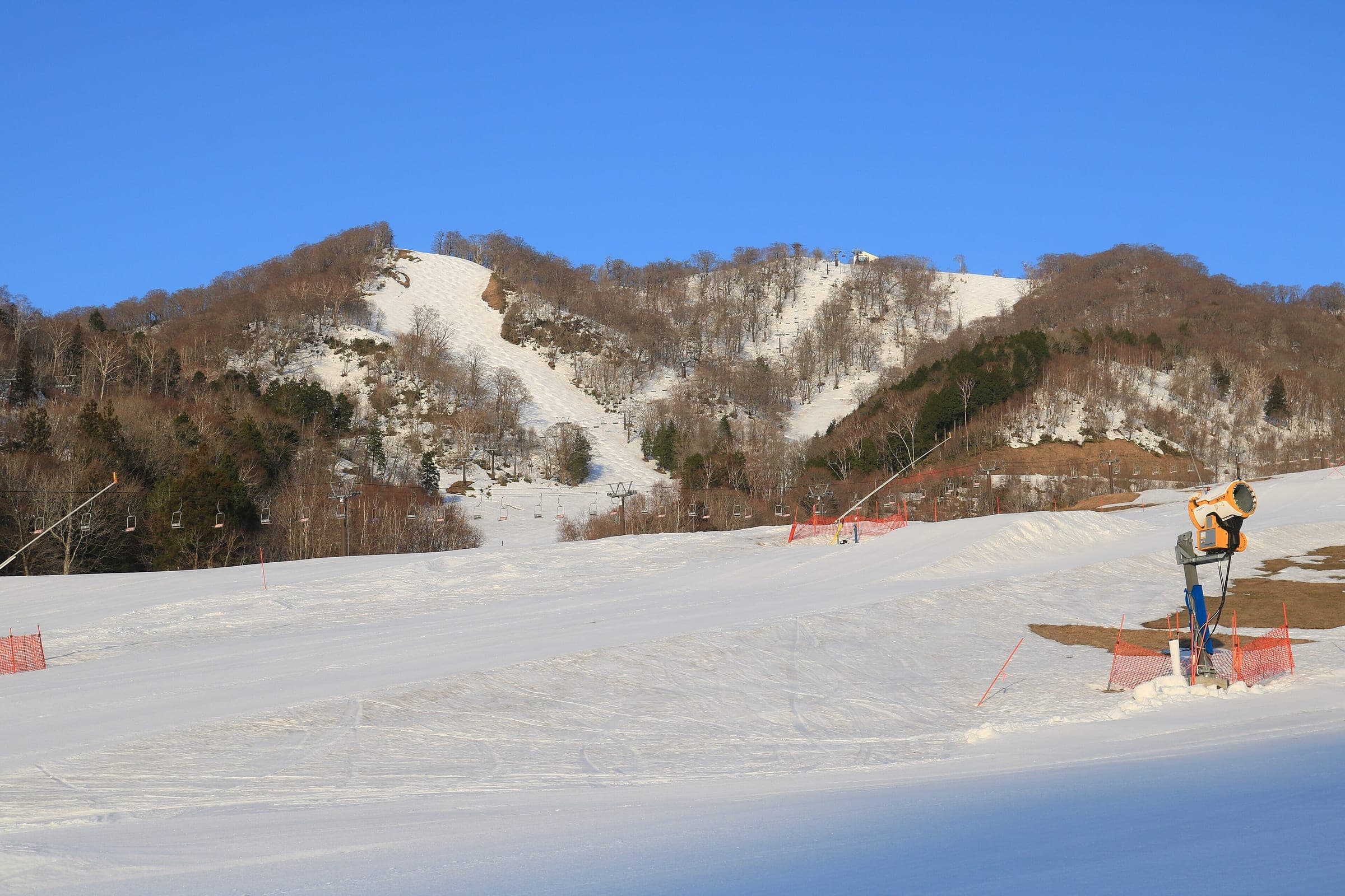 Groomed snow at Meiho Snow Resort leads up to steep runs through the forest under a blue sky