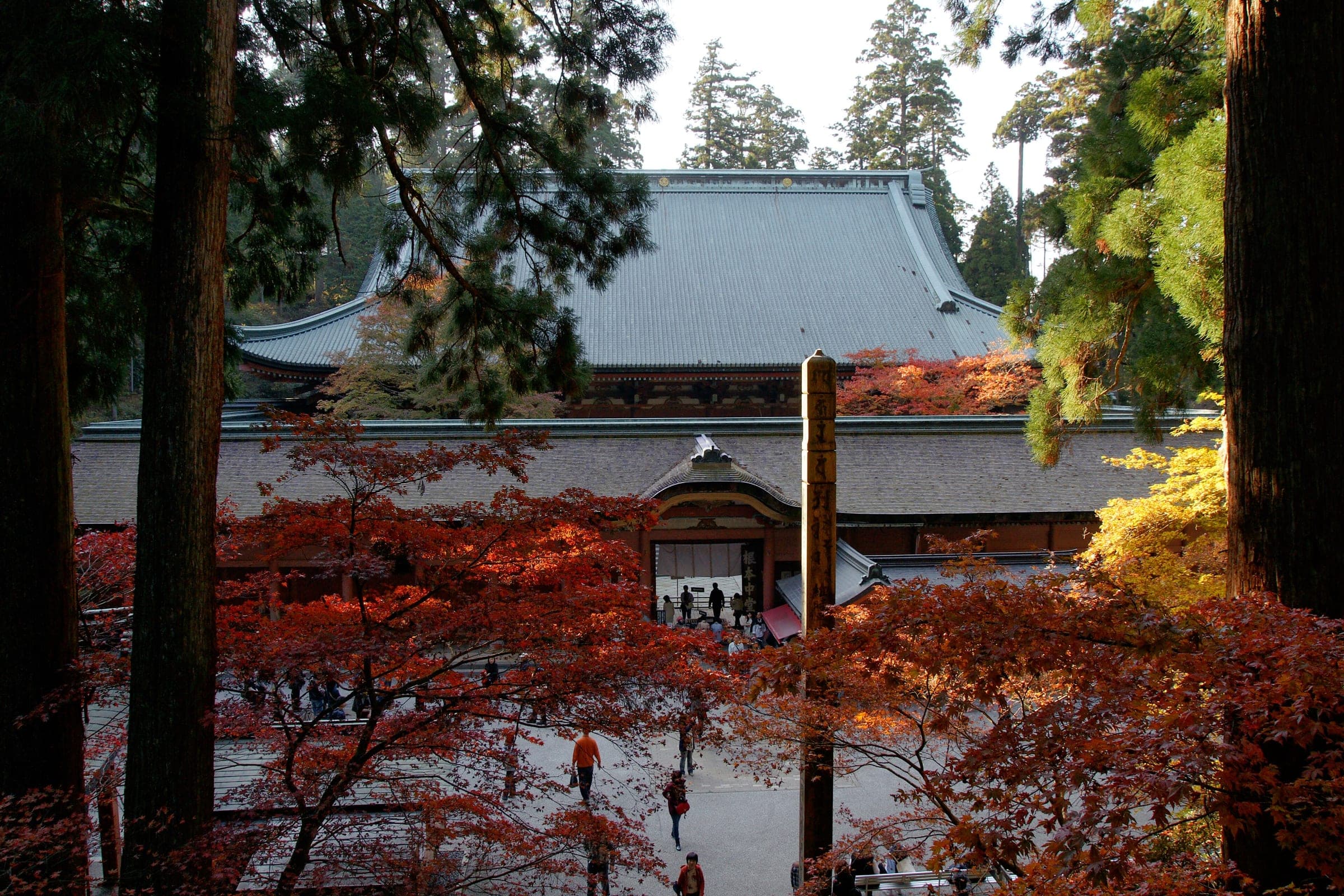 Red maples blaze below the long roof of the Konponchudo hall at Enryaku-ji on Mount Hiei