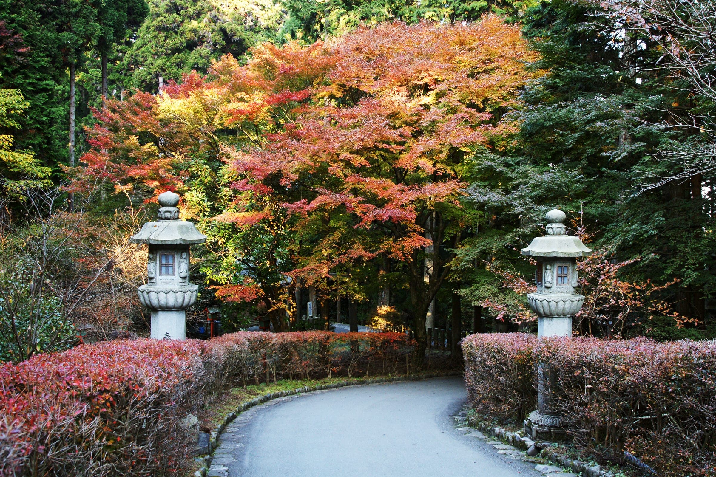 Stone lanterns line a curving path through autumn colour in the Saito area of Enryaku-ji