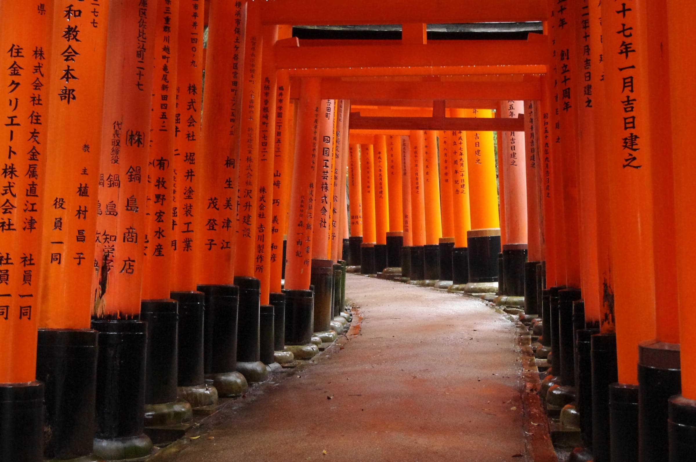 The path at Fushimi Inari Taisha curves away between rows of inscribed vermilion torii