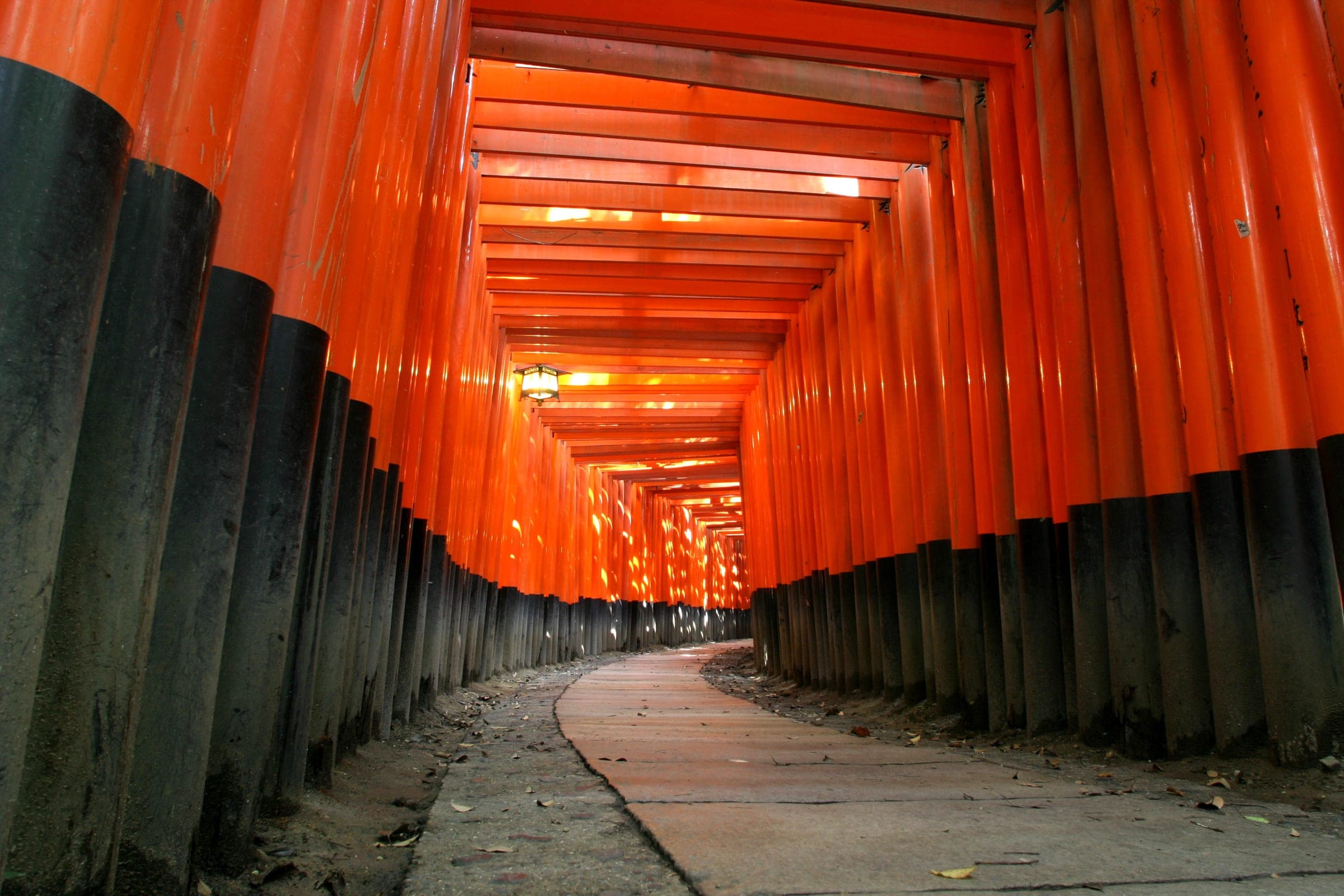 Vermilion torii gates form a long tunnel over the path at Fushimi Inari Taisha in Kyoto