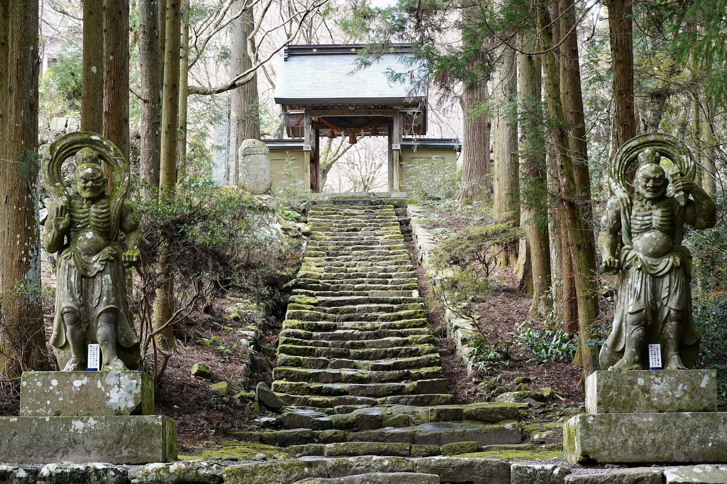 Two stone Nio guardians flank the mossy stone steps that climb through cedar forest to Futago-ji.