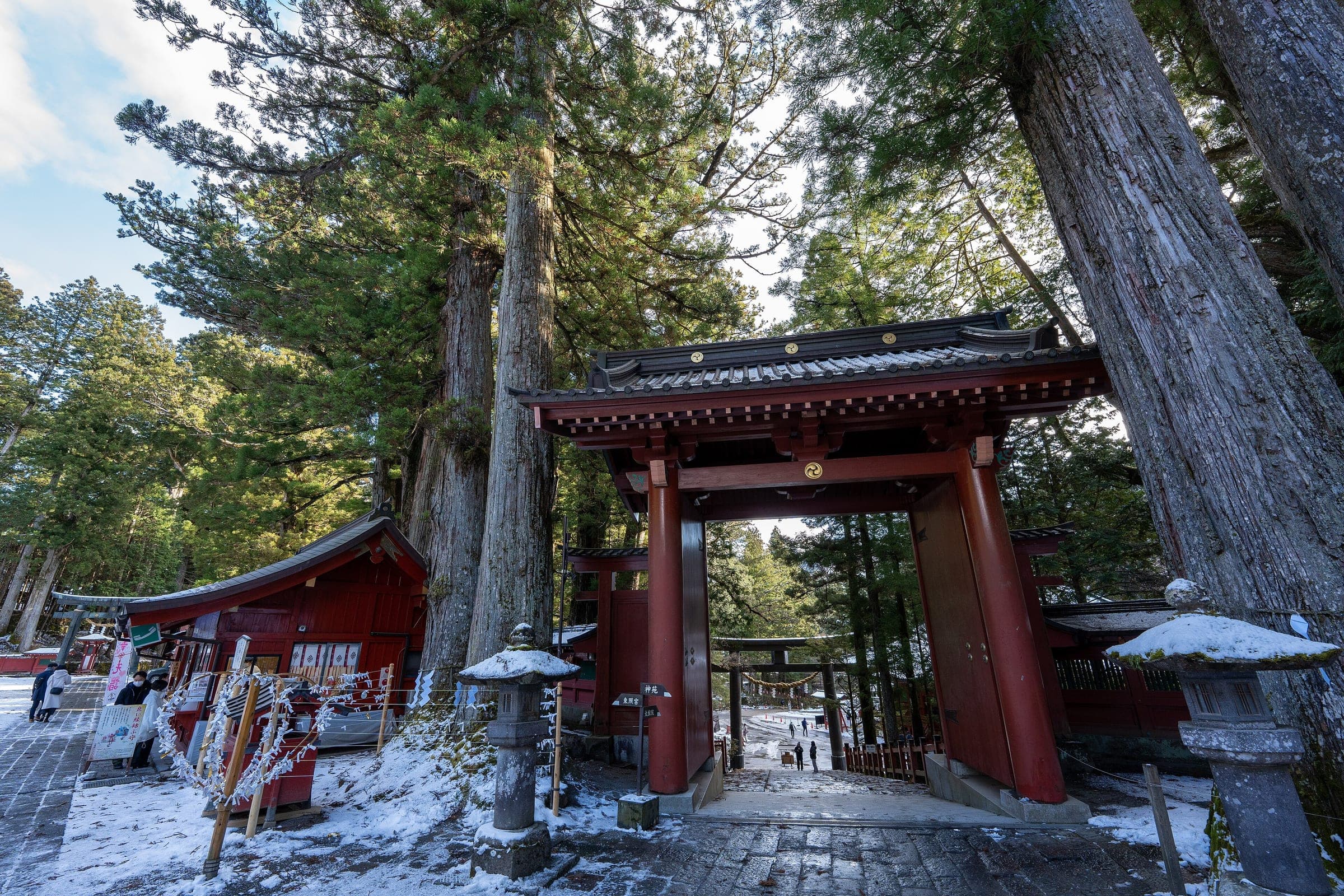A vermilion gate at Futarasan Shrine stands among old cedars after a light December snow
