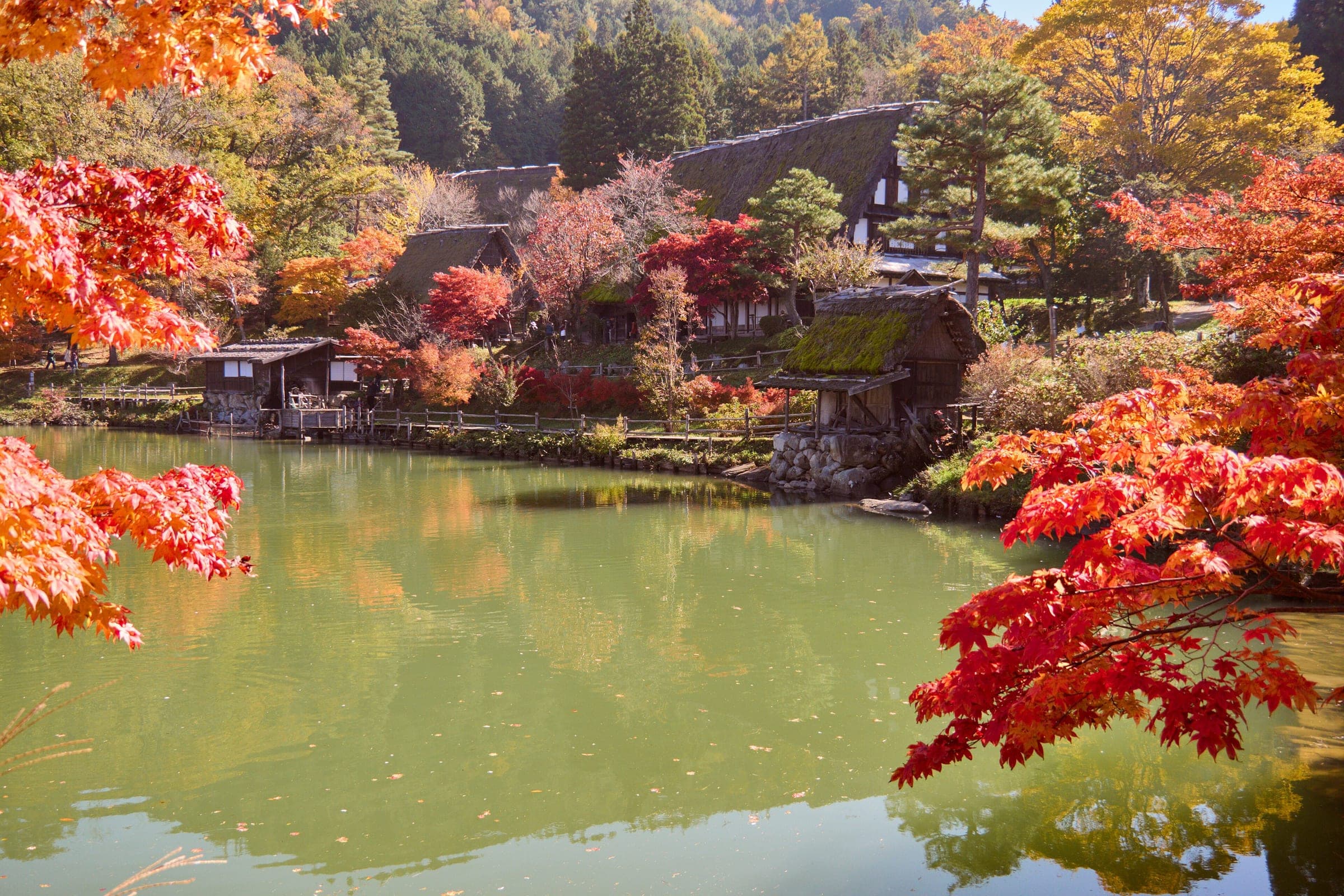 Red maples frame the pond and thatched houses of Hida Folk Village in autumn