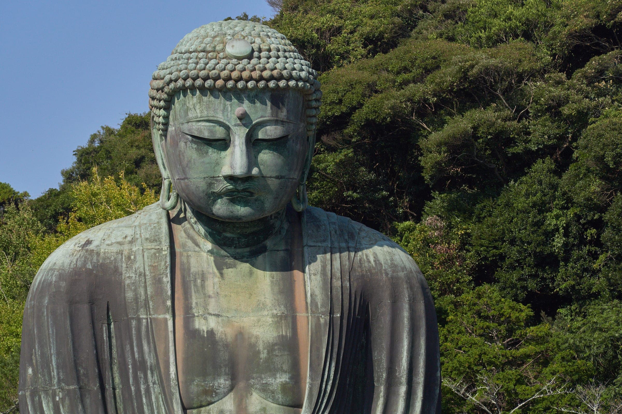 The bronze Great Buddha of Kotoku-in sits against the green hillside in Kamakura.