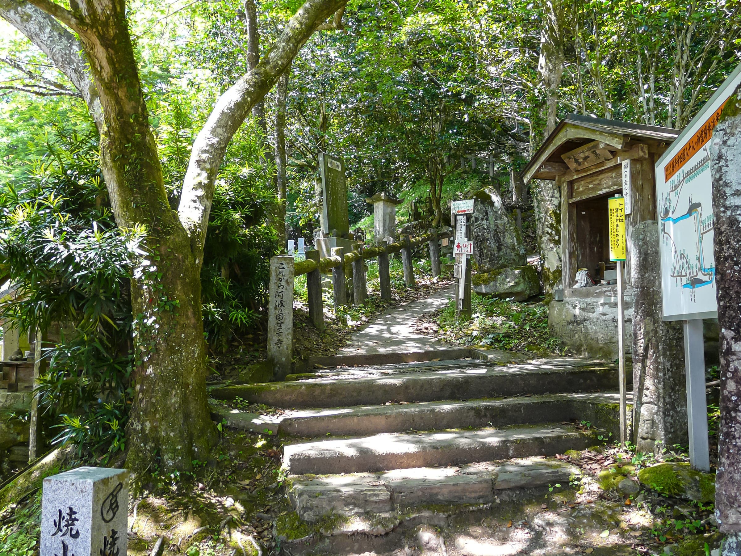 Stone steps lead from Fujiidera, temple 11, onto the forest pilgrim trail toward Shosanji in Tokushima.
