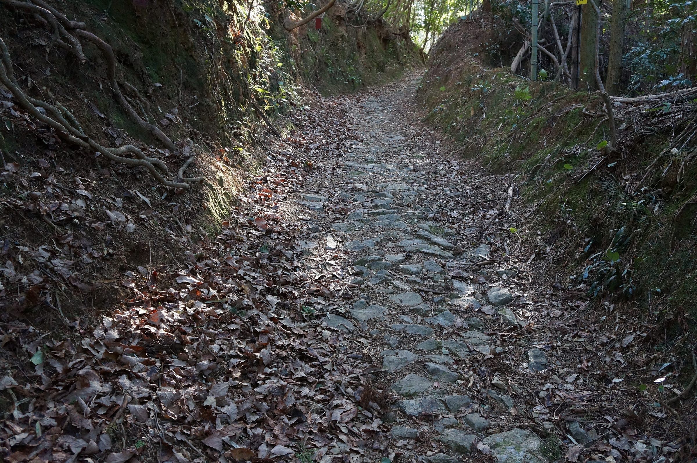 Old paving stones line the pilgrim footpath over Tsukaji Pass in Tosa, Kochi.