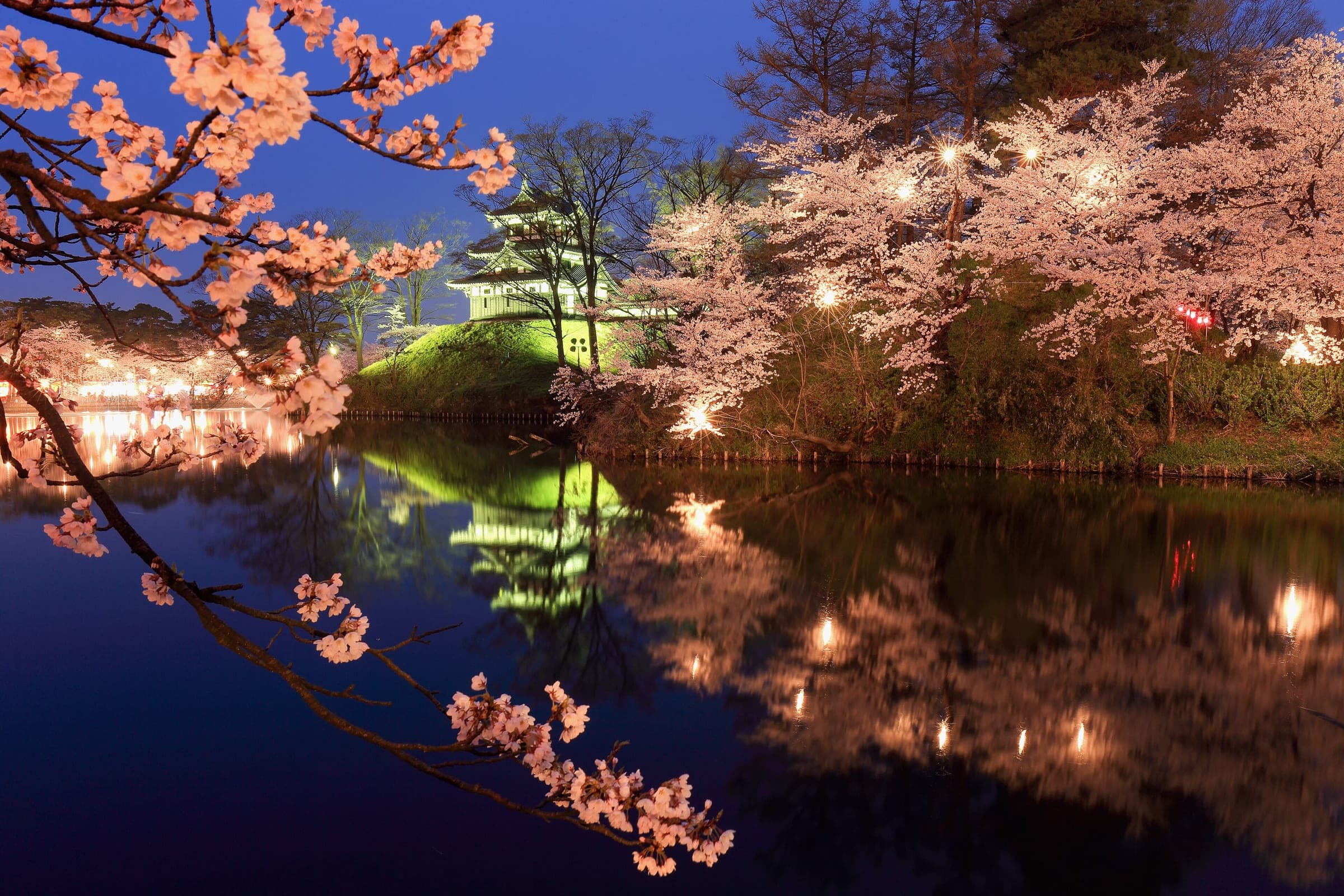 Lit cherry blossoms and the three-storey turret of Takada Castle reflect in the moat at night