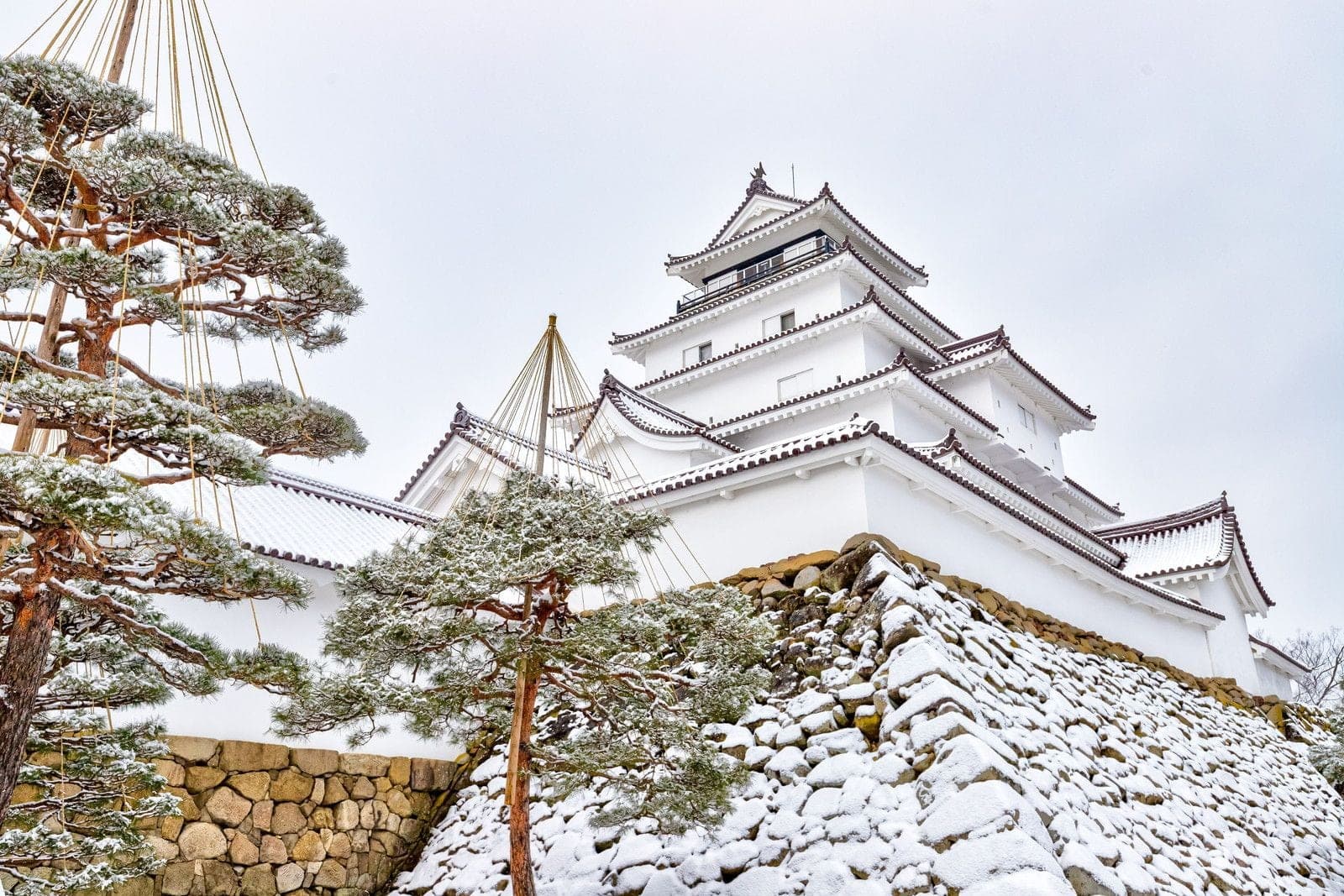 Snow dusts the stone walls and rope-braced pines below the keep of Tsuruga Castle in February.