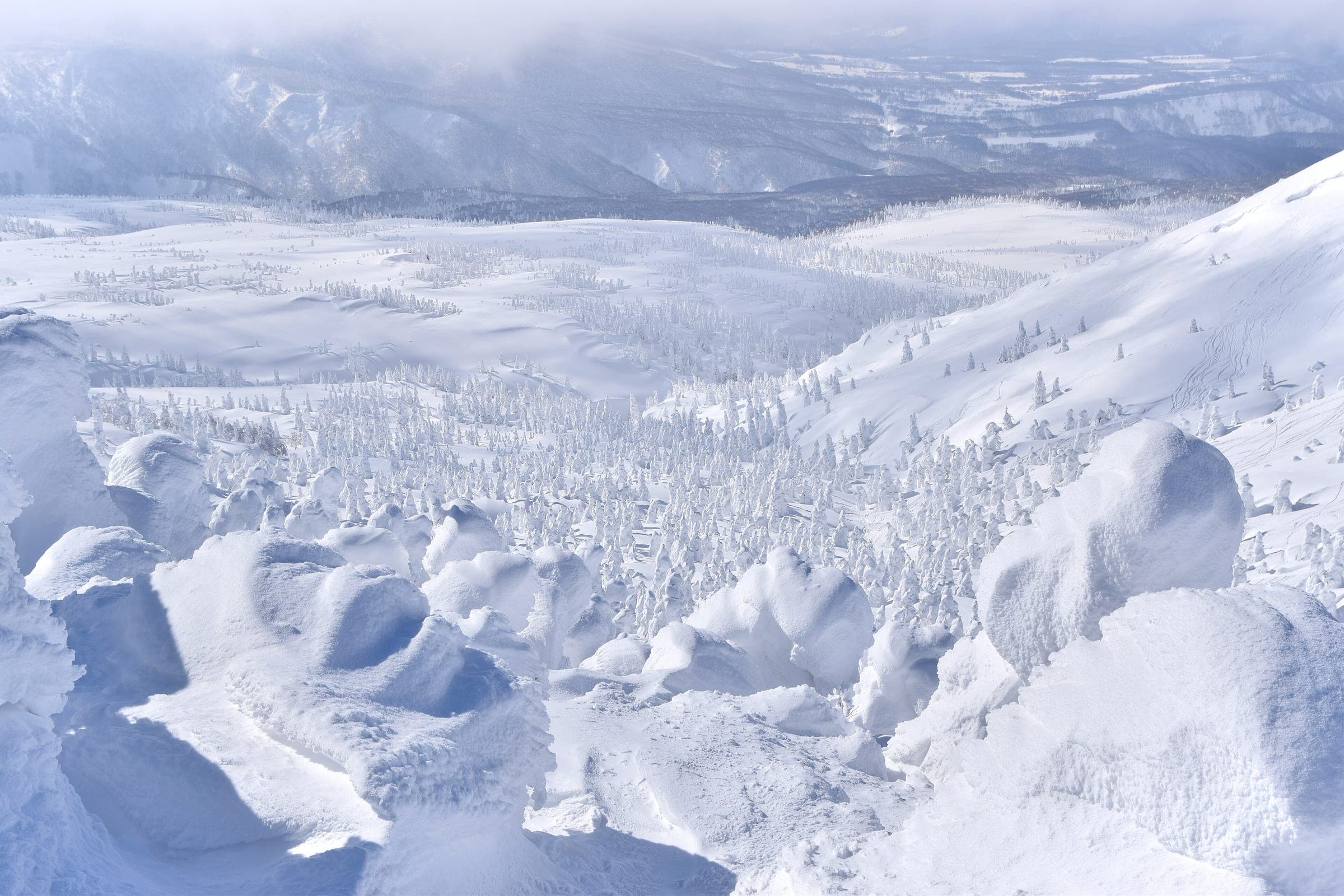 Rime-covered firs and open snowfields stretch below the upper slopes of the Hakkoda range in February