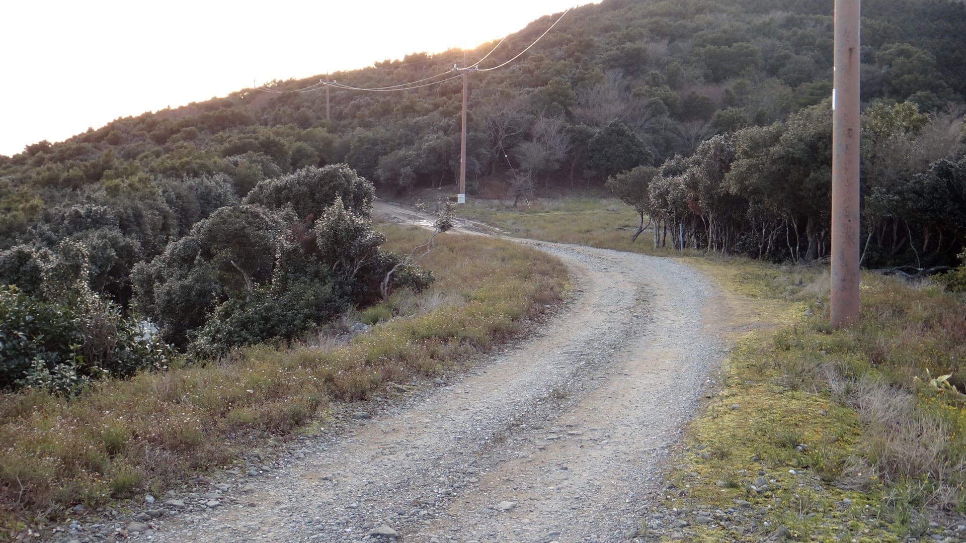 An unpaved stretch of the Ueda forest road winds through scrub in Minamiawaji on Awaji Island