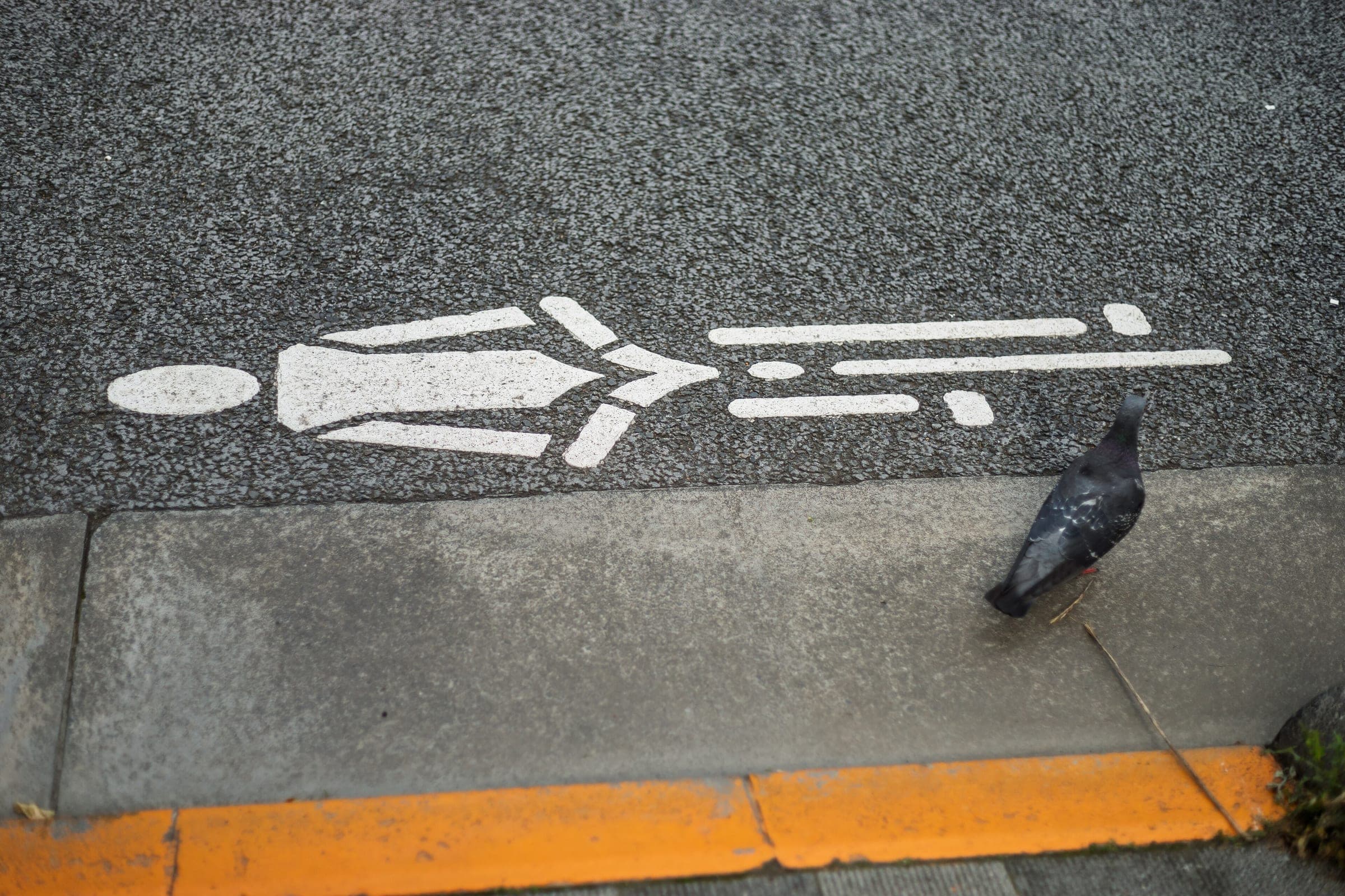 A painted bicycle symbol marks the cycling lane on Akihabara's main street in Tokyo