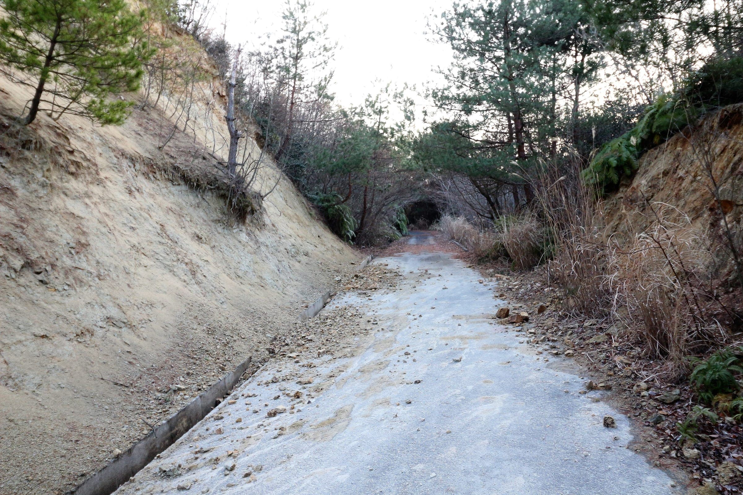 Fallen rock litters a narrow forest road below crumbling banks on the way to a small tunnel