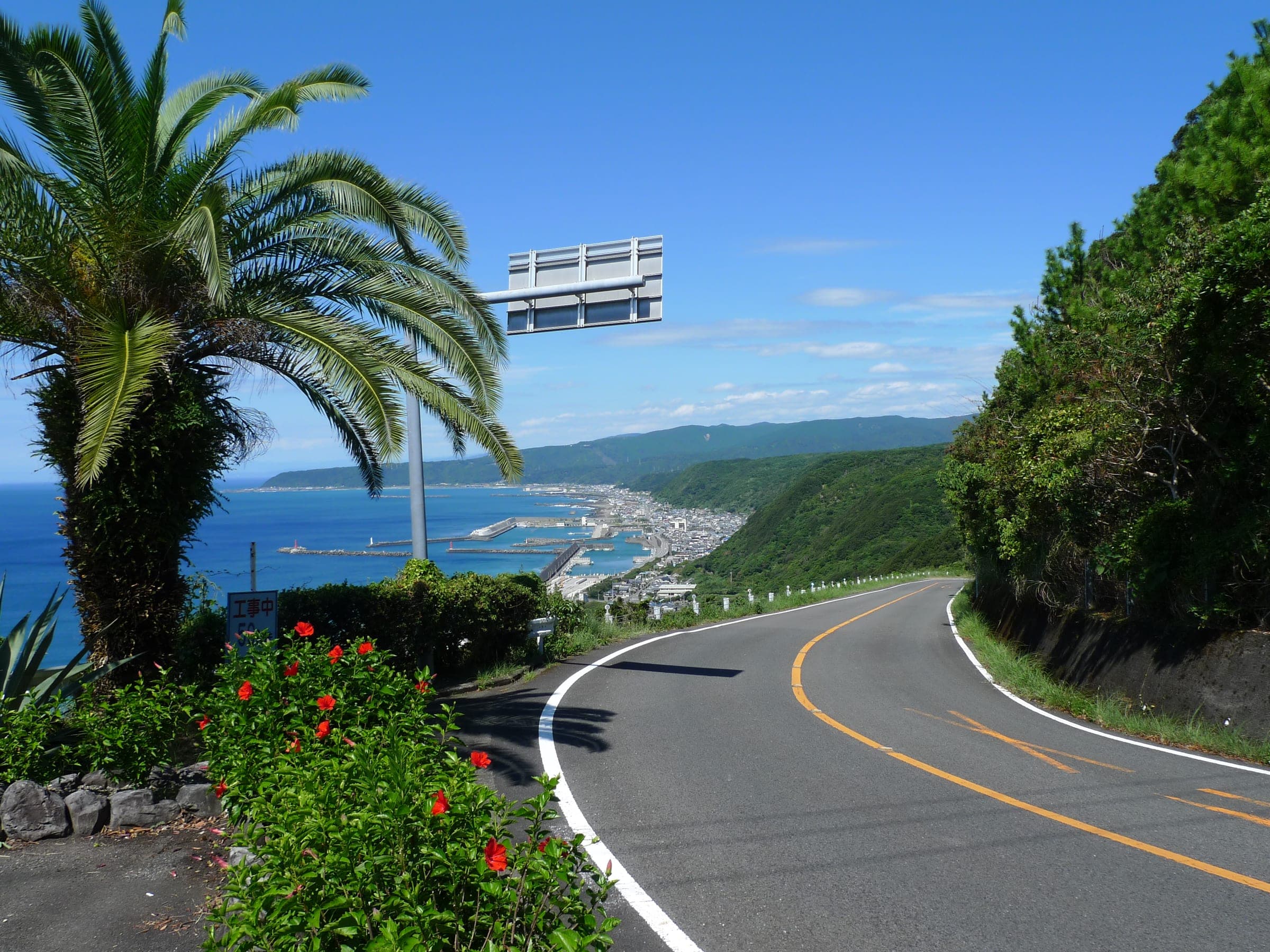 A coast road curves past palms and hibiscus on the climb above Muroto with the Pacific below
