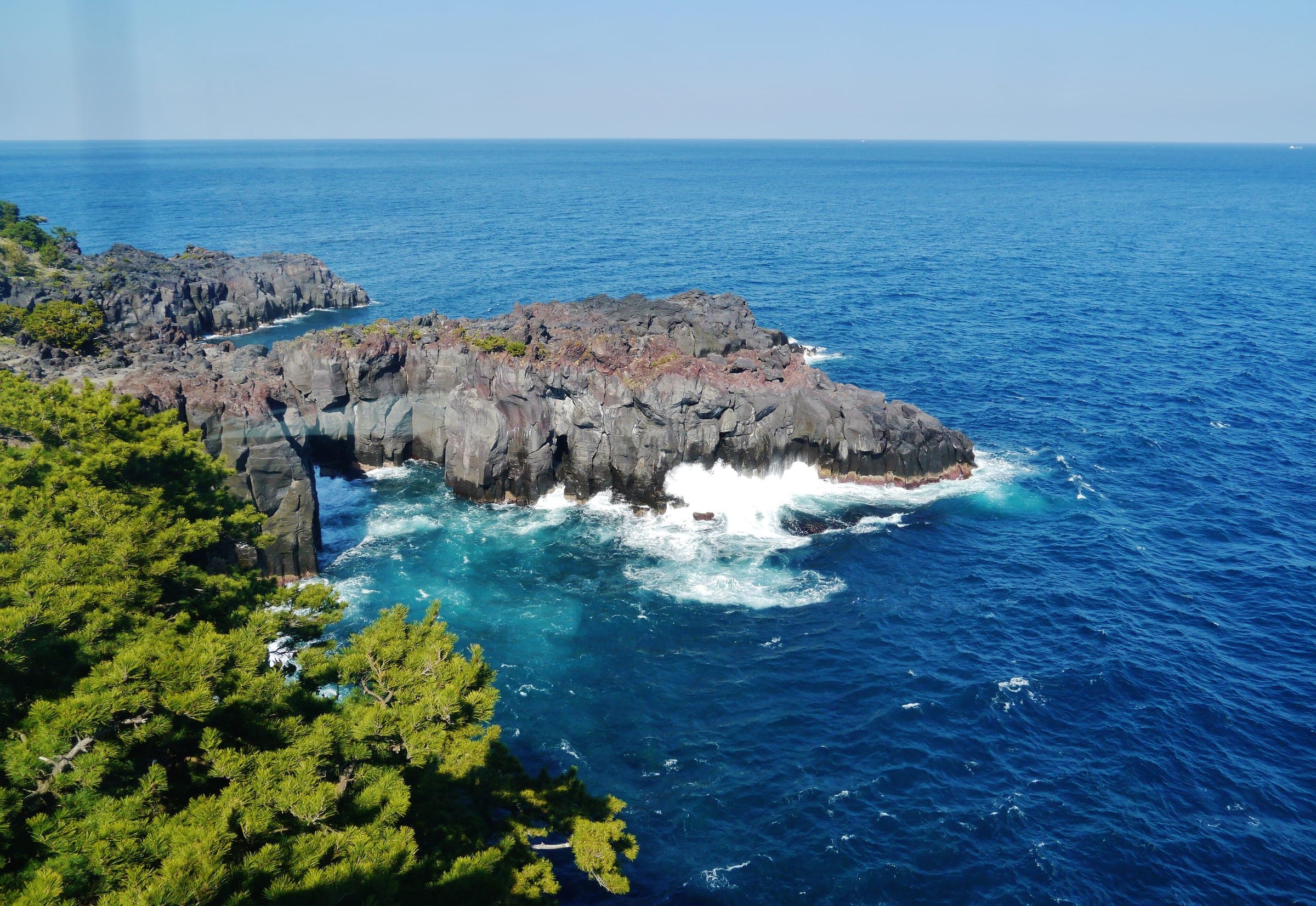 Surf breaks on a black lava headland below pines on the Jogasaki Coast south of Ito