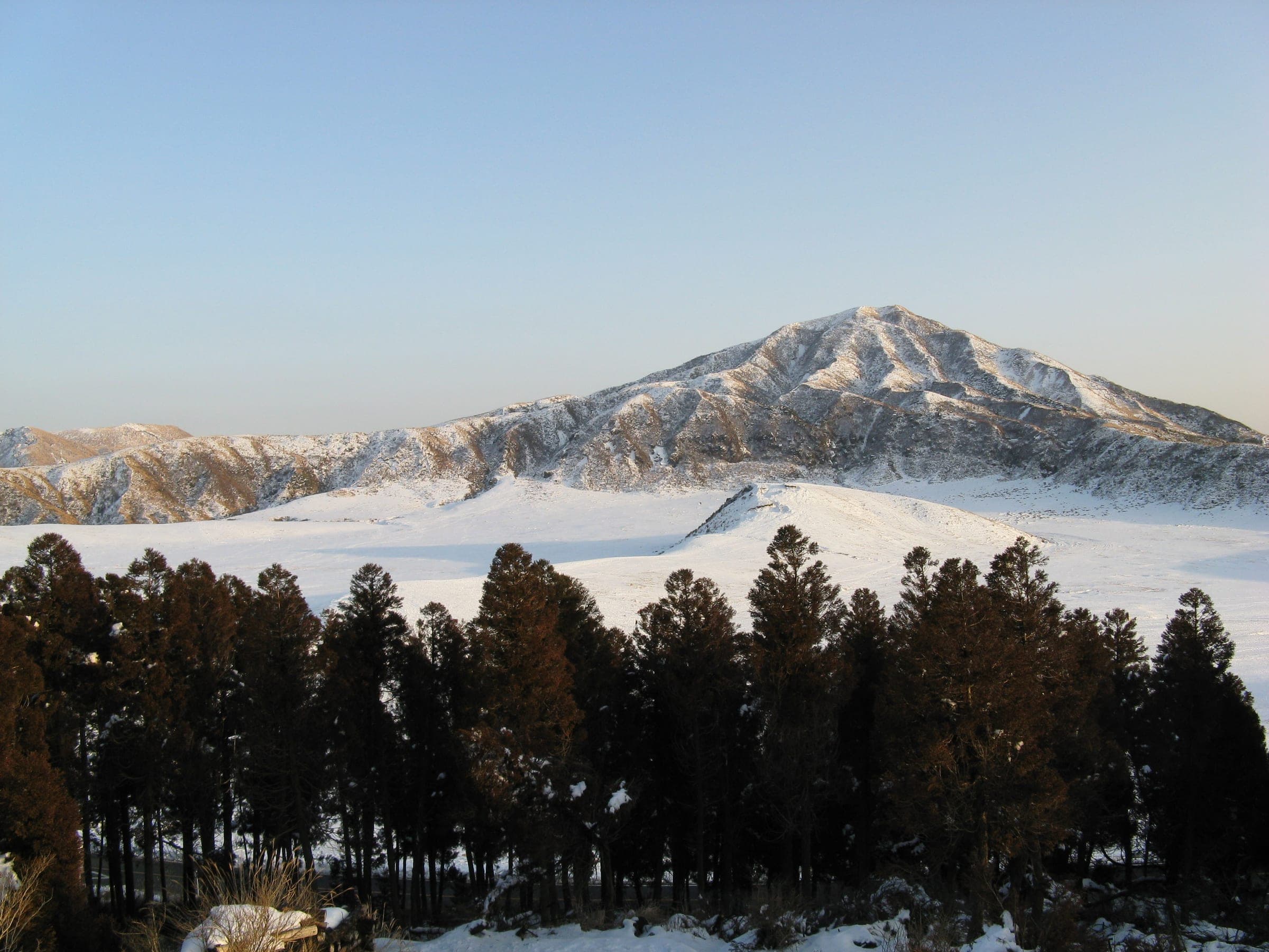 Snow covers Mount Eboshi and the Kusasenri meadow on Mount Aso behind a row of dark cedars in February