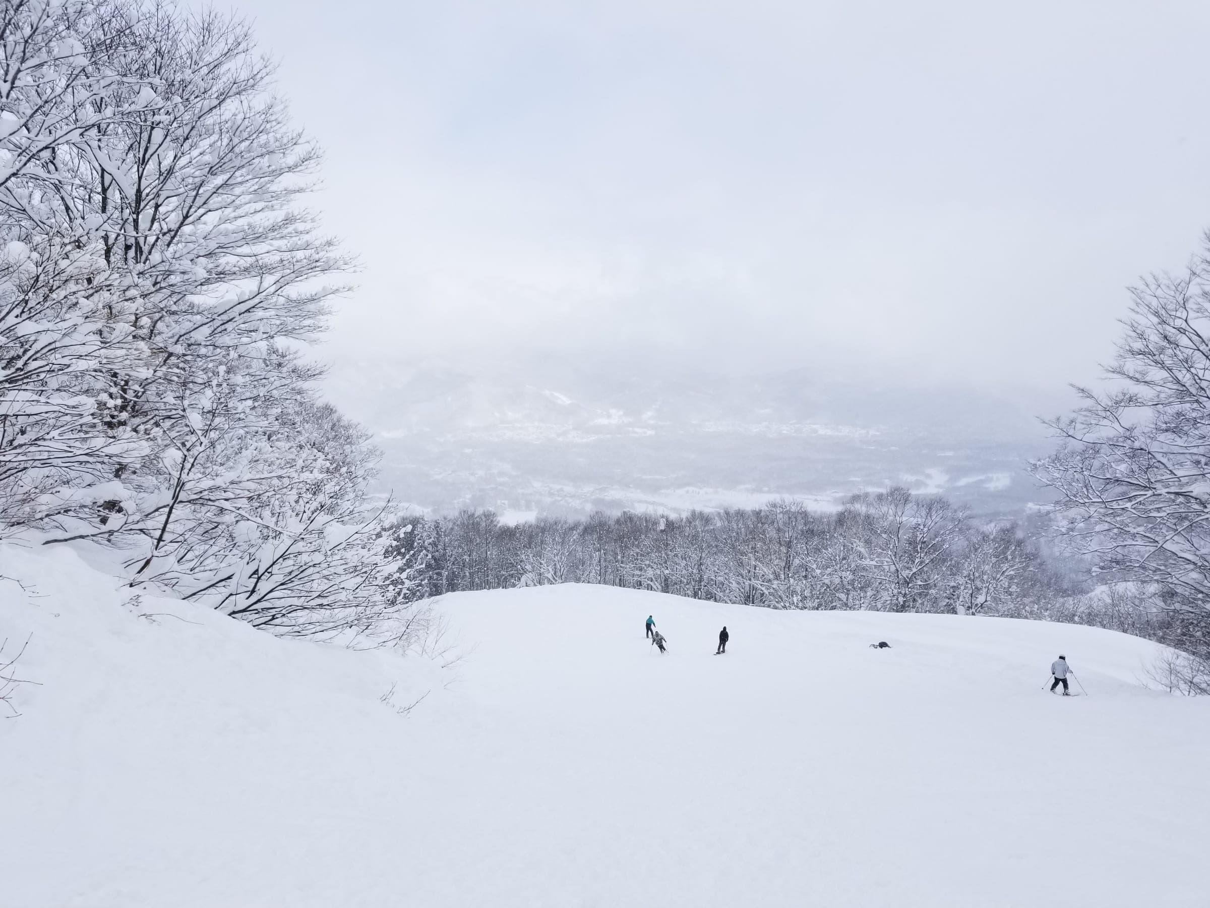 Skiers cross an open run between snow-laden trees at Akakura Onsen Ski Area