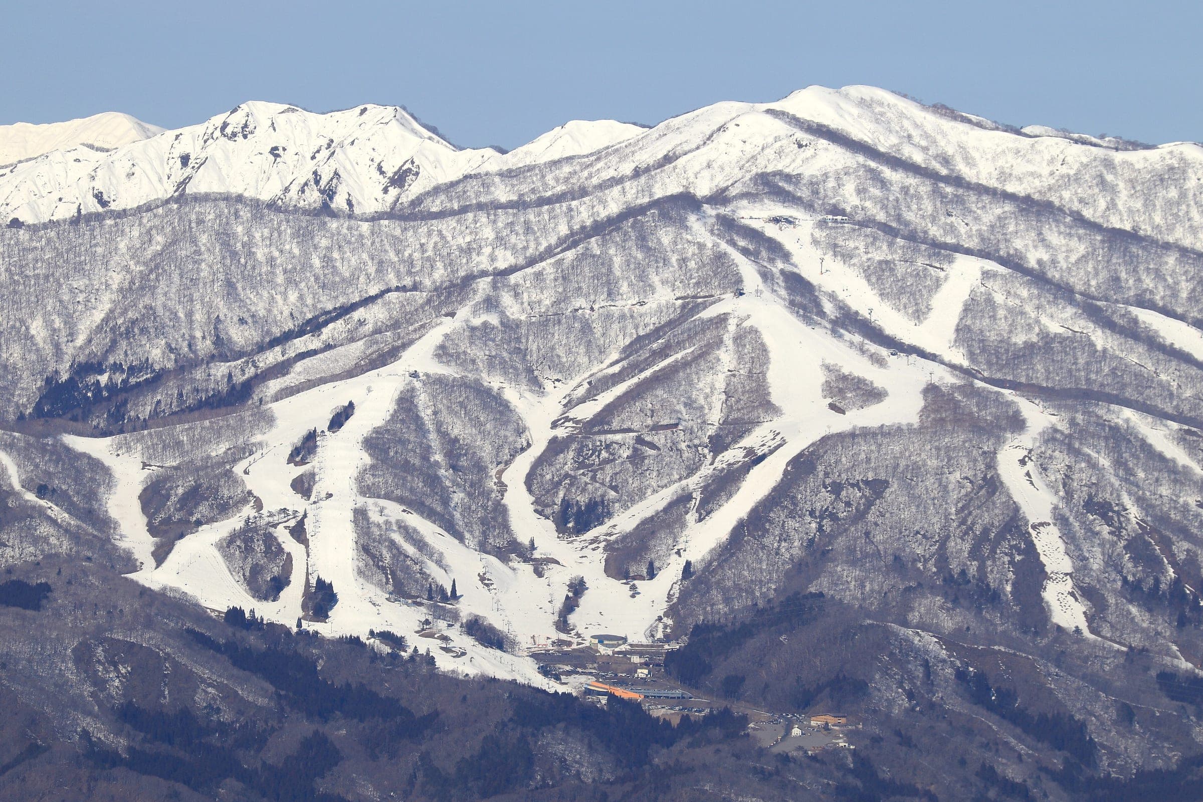 Dynaland's runs cut white lines through the forest on Mount Dainichi in March