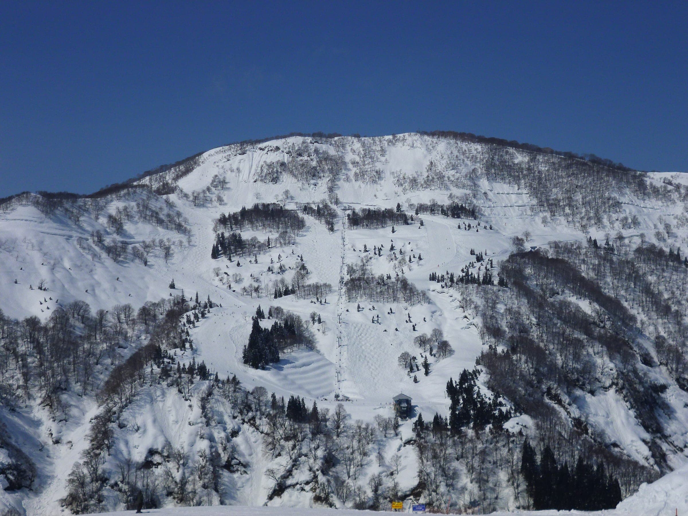 Groomed runs and tree islands cover the southern area of GALA Yuzawa under a deep blue sky