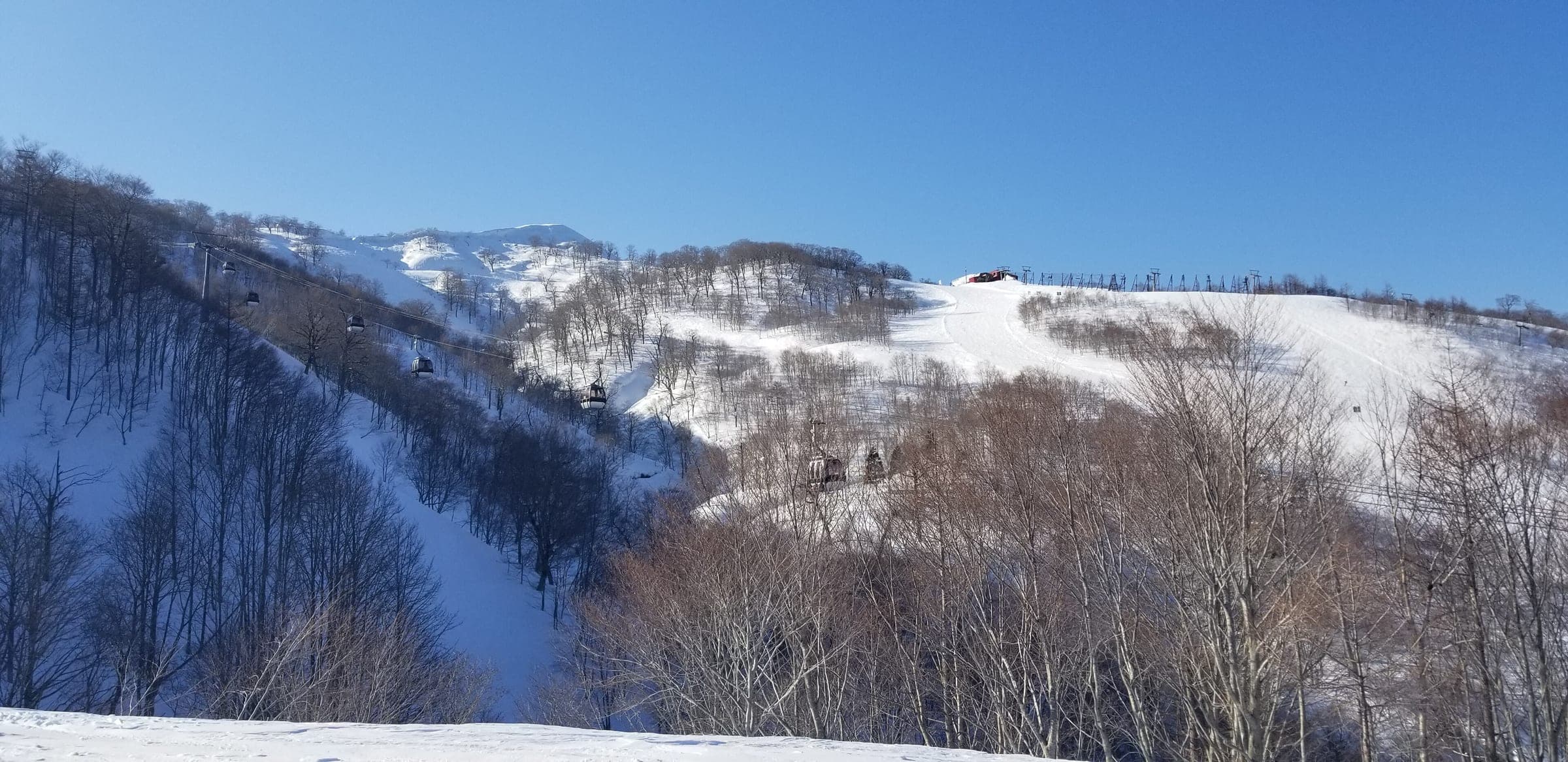 The Geto Kogen gondola climbs past wooded tree runs to the open upper slopes under clear blue sky.