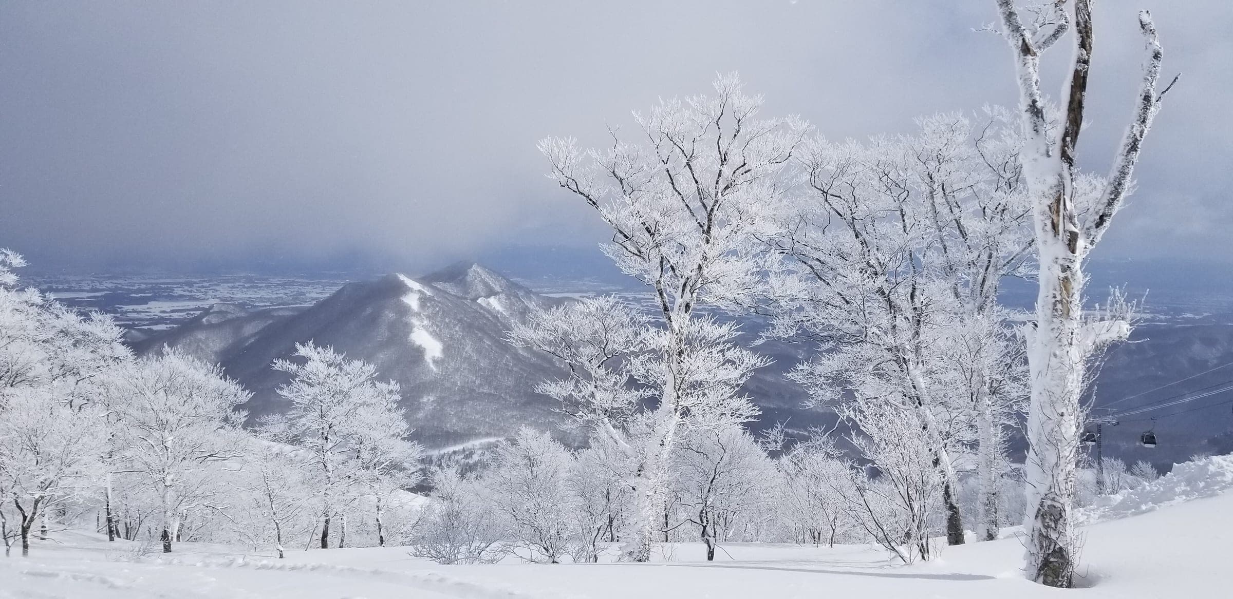 Rime-coated birches line the summit tree run at Geto Kogen with snowy peaks and lowlands beyond.