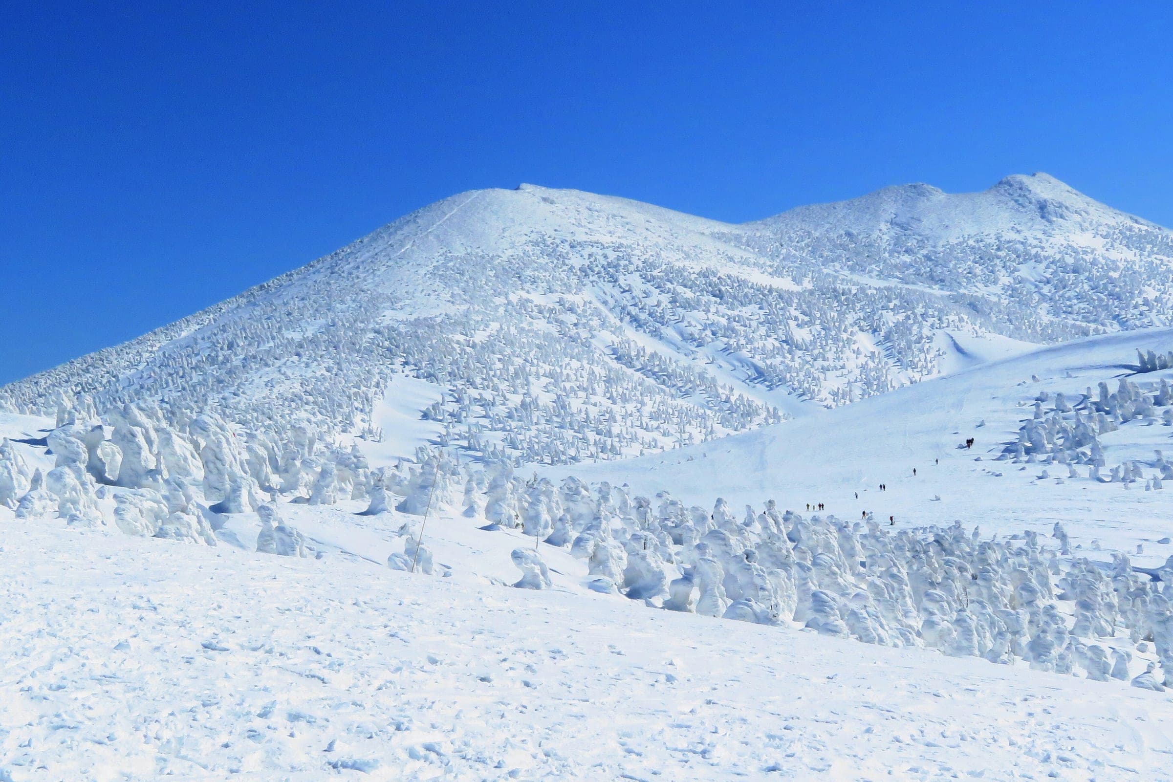 Rows of snow-crusted juhyo climb toward a white summit dome in the Hakkoda mountains under deep blue sky.