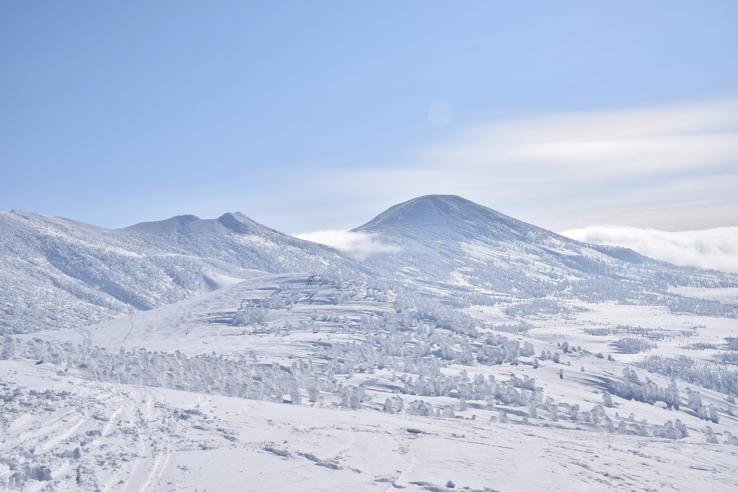 Frosted trees dot the open snowfields below the rounded winter peaks of the Hakkoda range.