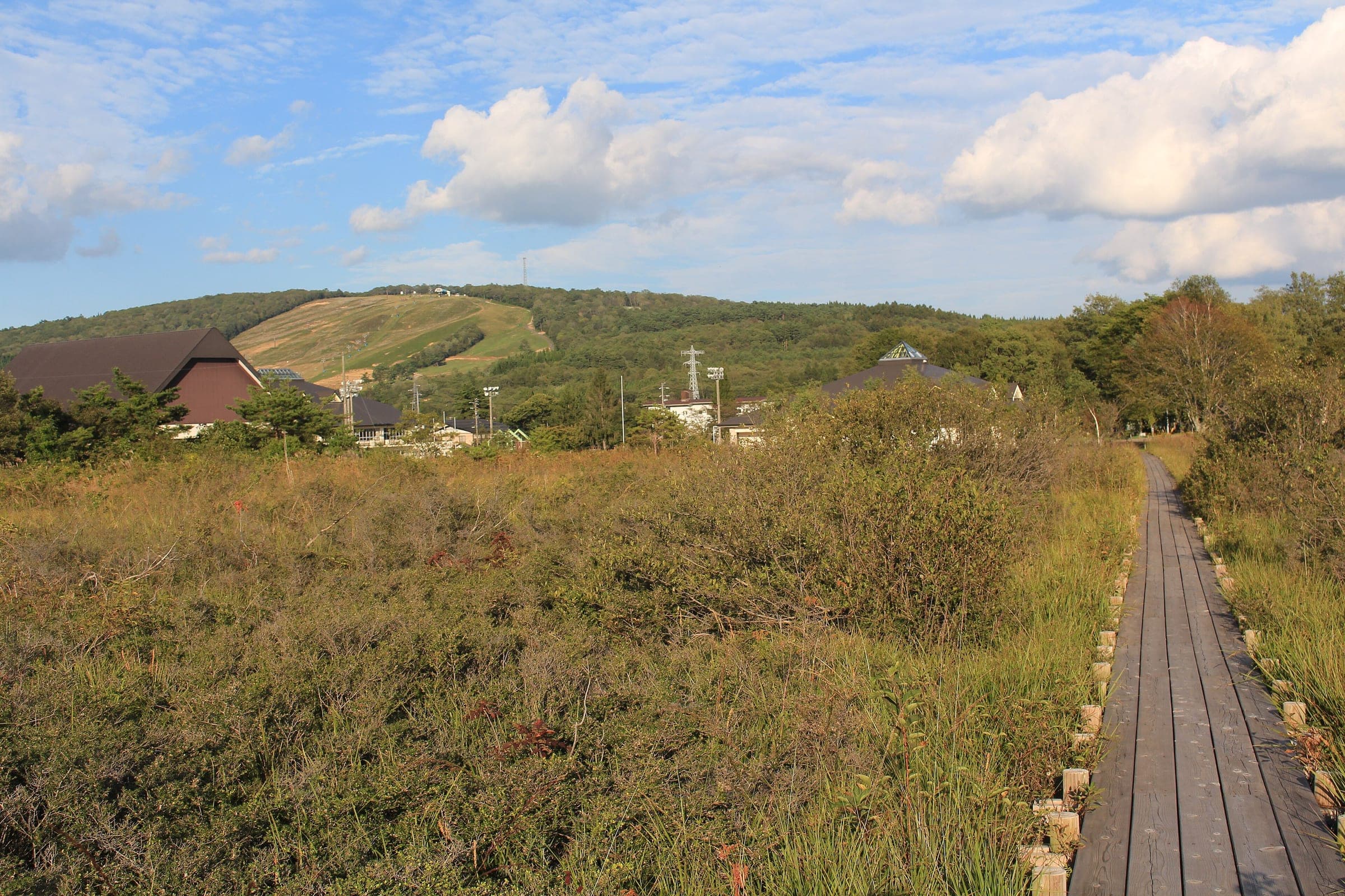 A boardwalk crosses the Hirugano wetland garden below the grassy slopes of Hirugano Kogen ski area