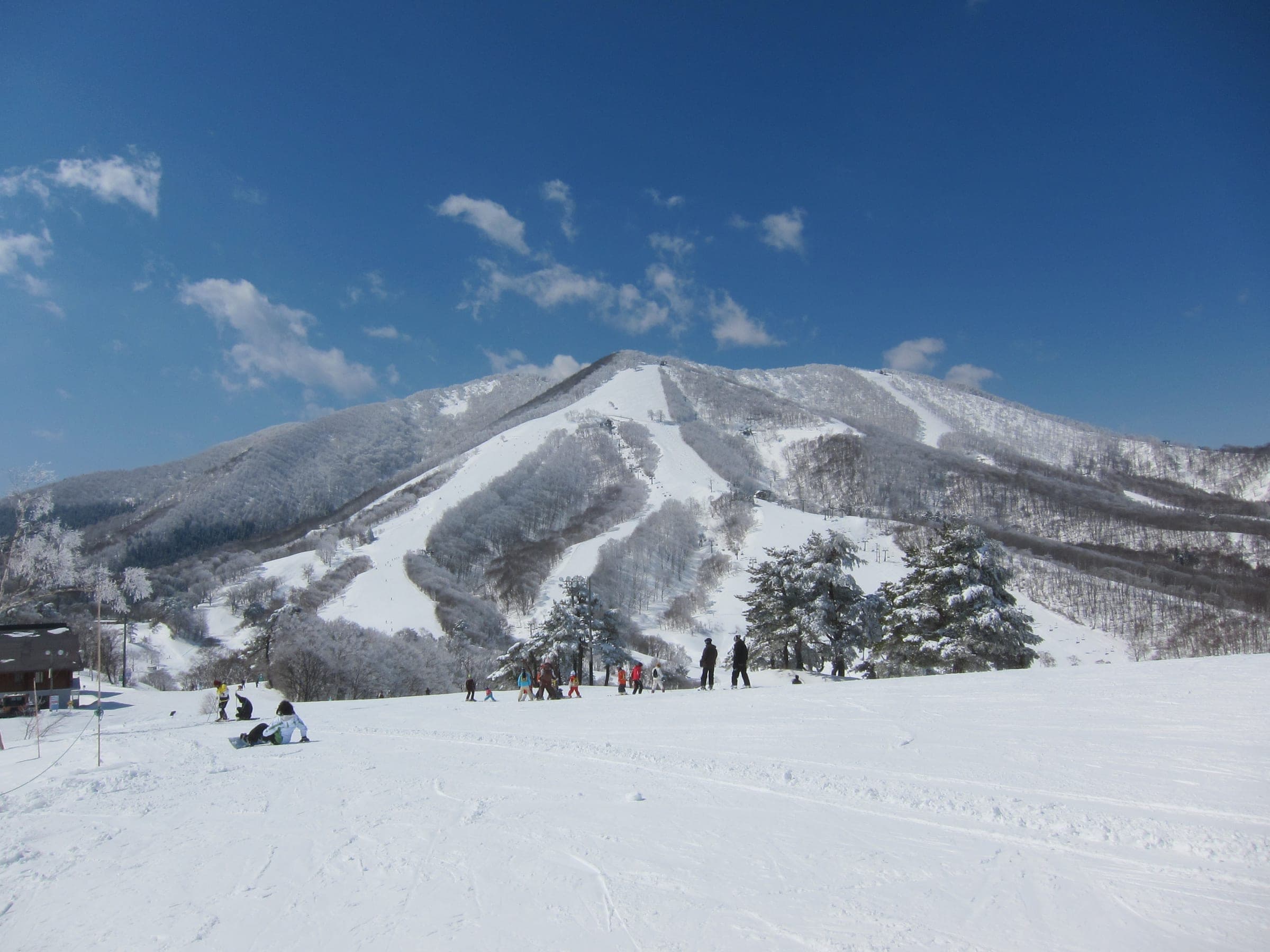 Skiers rest at the base of Madarao as its gladed runs climb the mountain under a deep blue sky