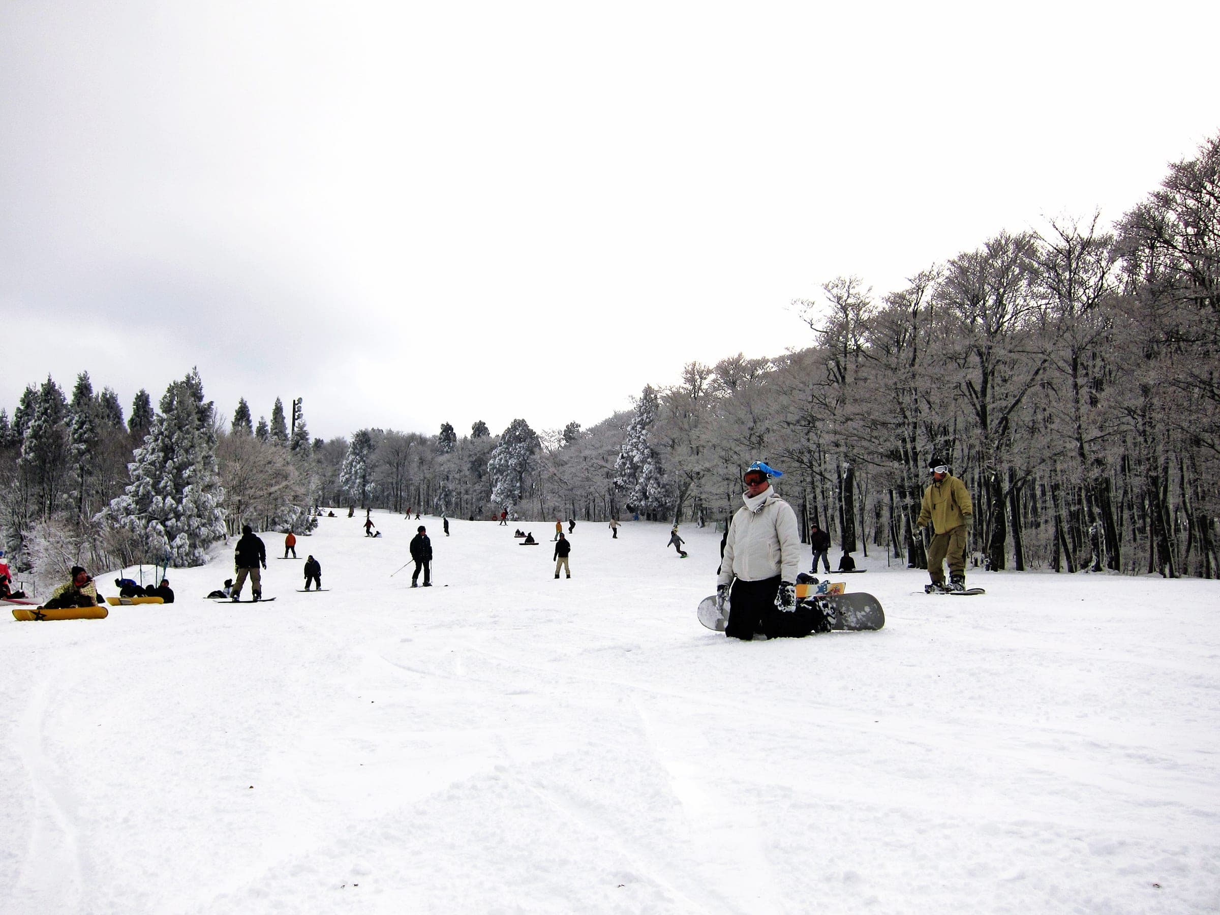 Riders rest on a groomed run at Mizuho Highland below a line of frosted beech trees