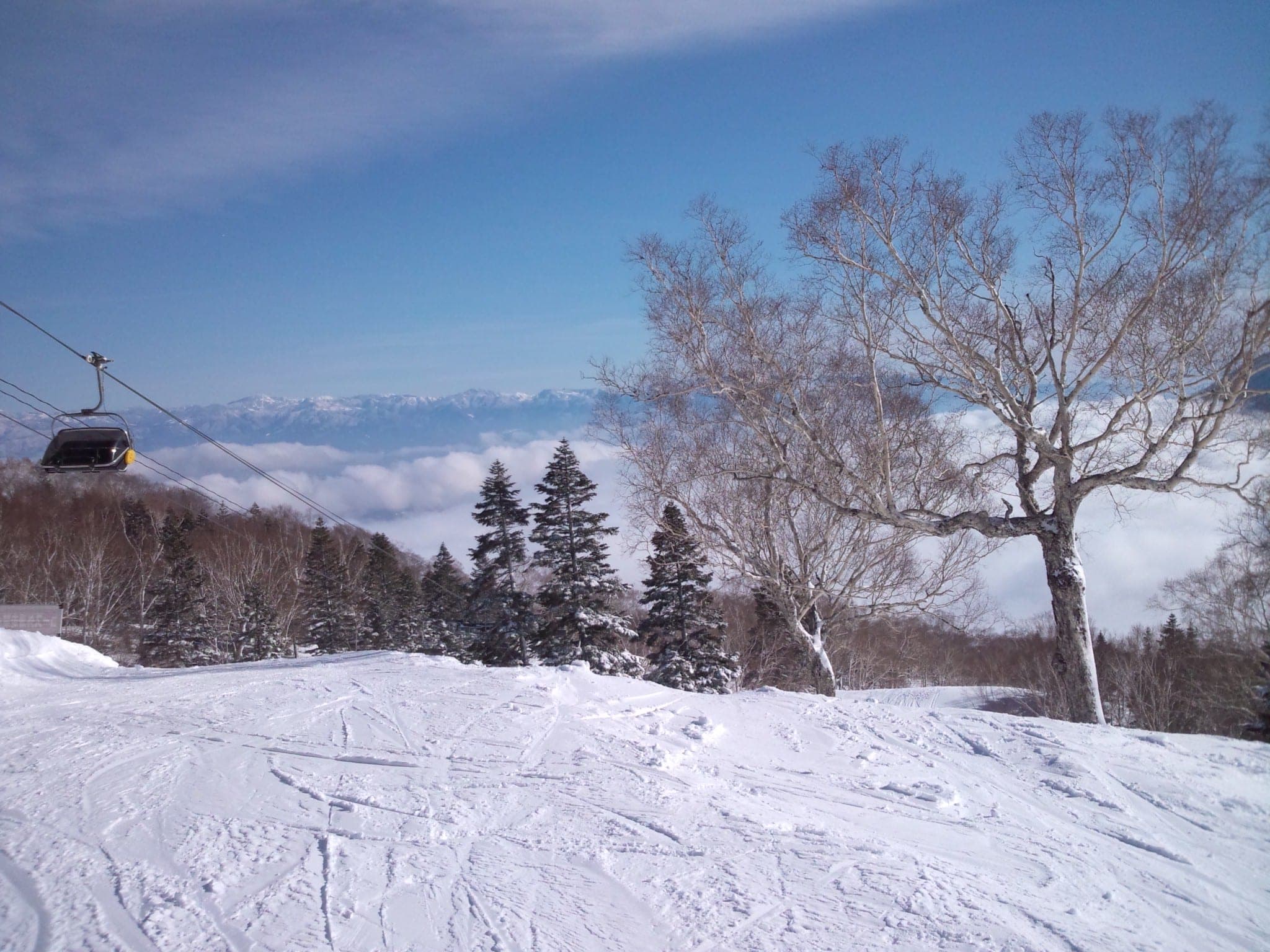 A gondola cabin passes frosted birch at the top of Myoko Suginohara above a sea of cloud