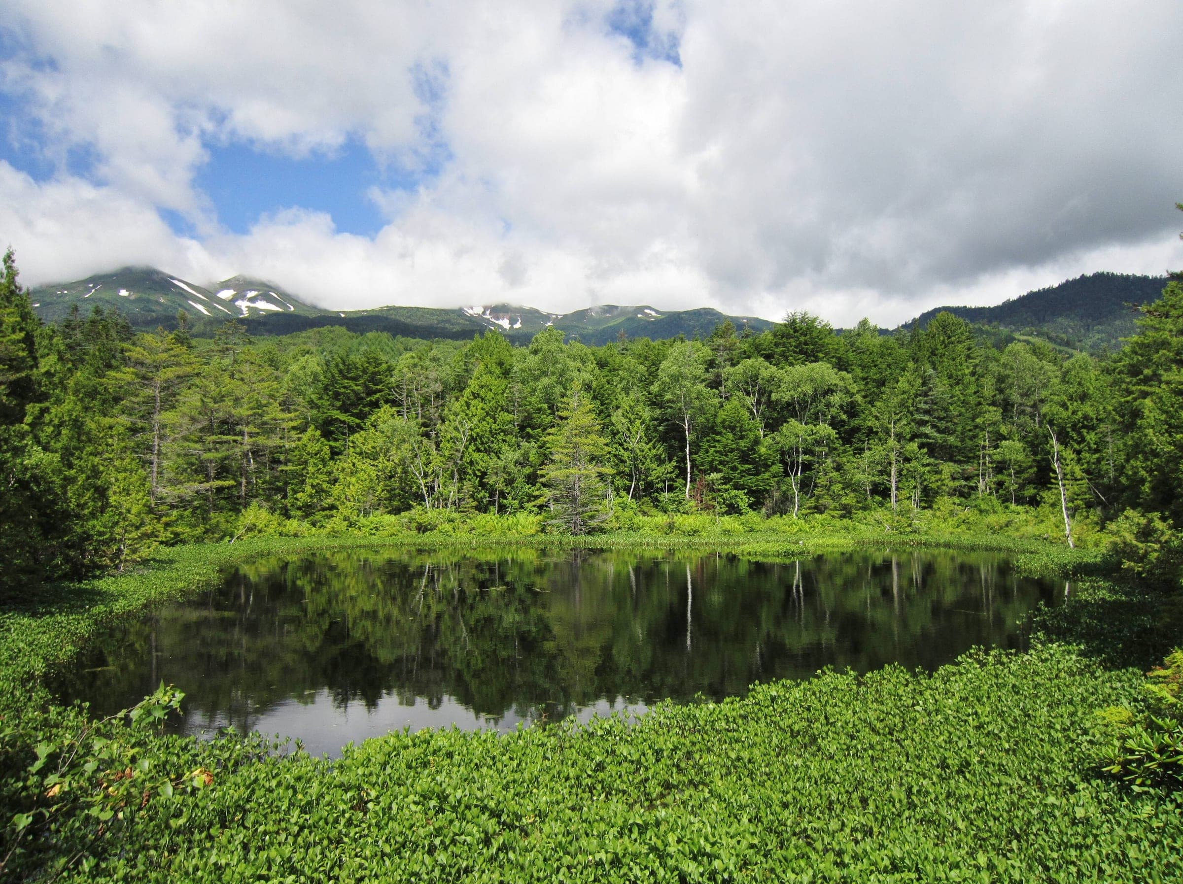 Ushidome Pond lies still in the forest of Norikura Kogen with the Norikura peaks streaked with snow behind