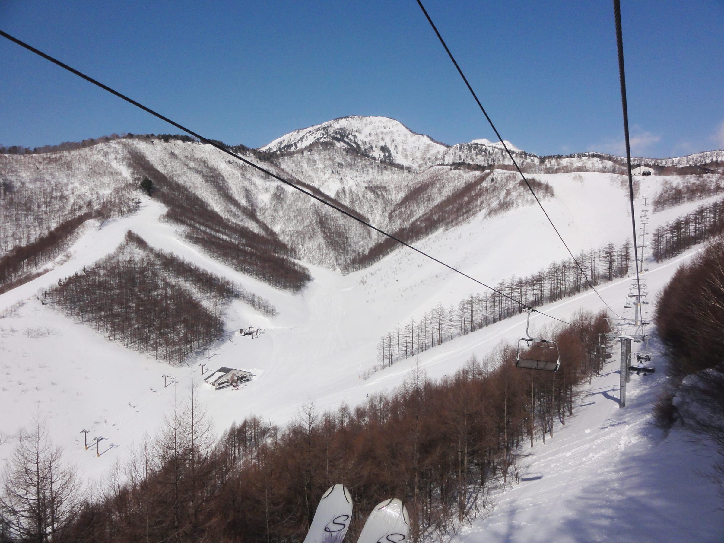 The view from a chairlift at Oguna Hotaka takes in larch-lined runs below Mount Hotaka