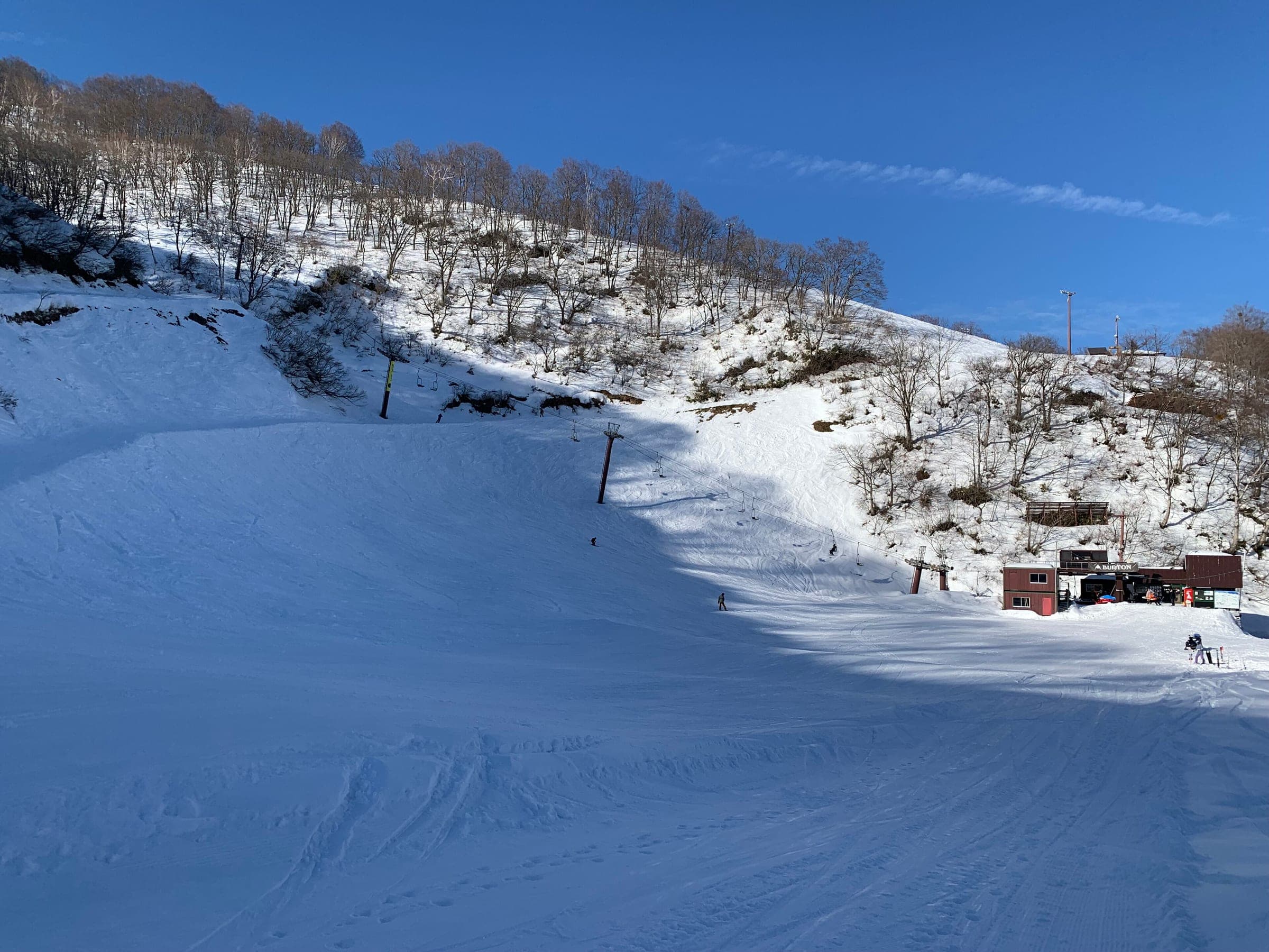 Late sun lights the lower slope and birch-lined ridge at Seki Onsen Ski Area