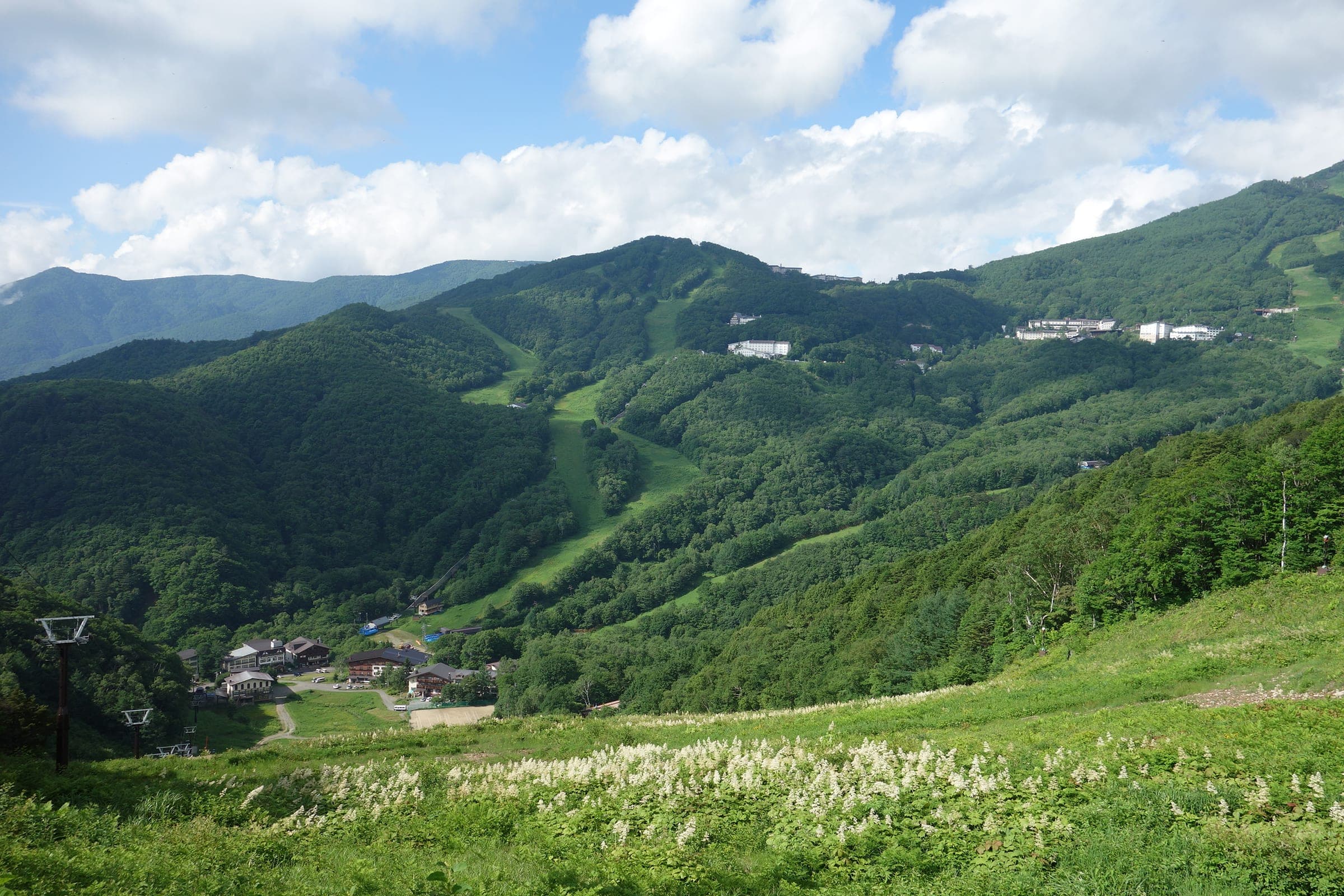 Green summer slopes at Shiga Kogen Giant face the grassed runs of Nishidateyama in July