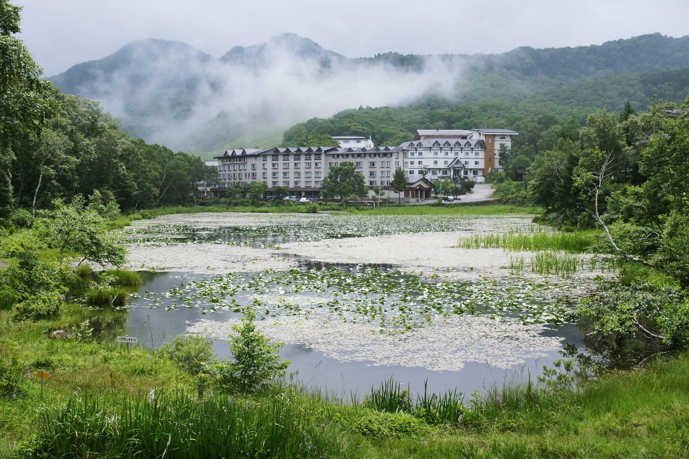 Mist hangs over the lily pads of Hasuike pond below the hotels at the centre of Shiga Kogen in July