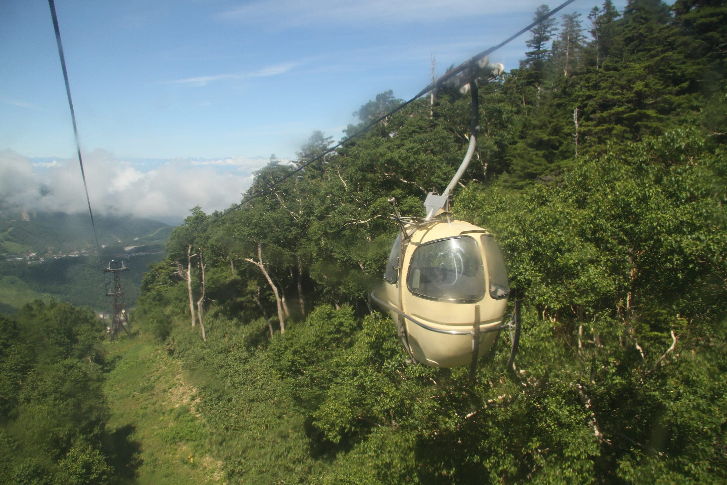 A Higashidateyama gondola cabin climbs through green summer forest in Shiga Kogen