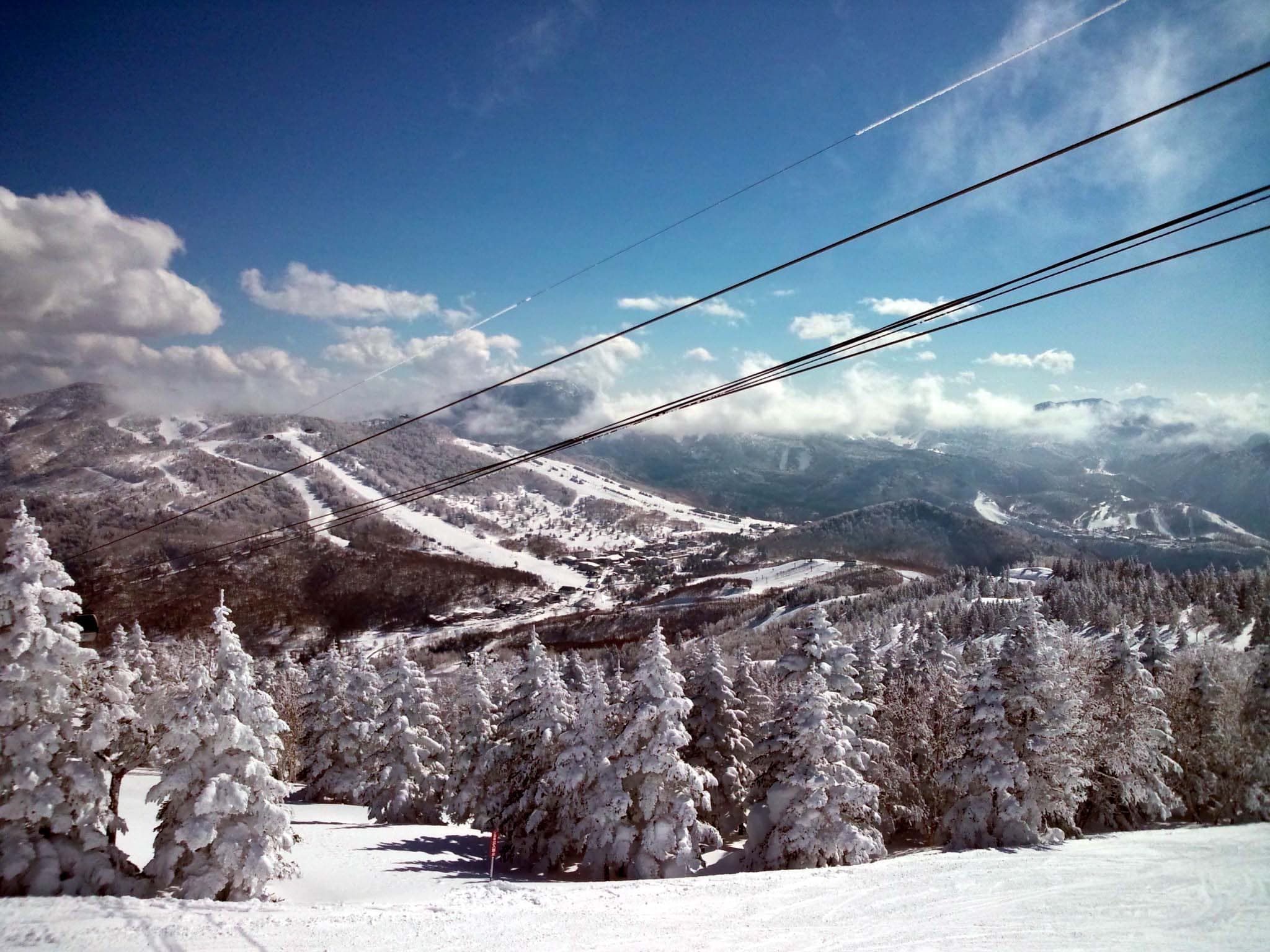 Snow-loaded firs on Mount Yakebitai frame the Ichinose and Terakoya slopes across the Shiga Kogen plateau