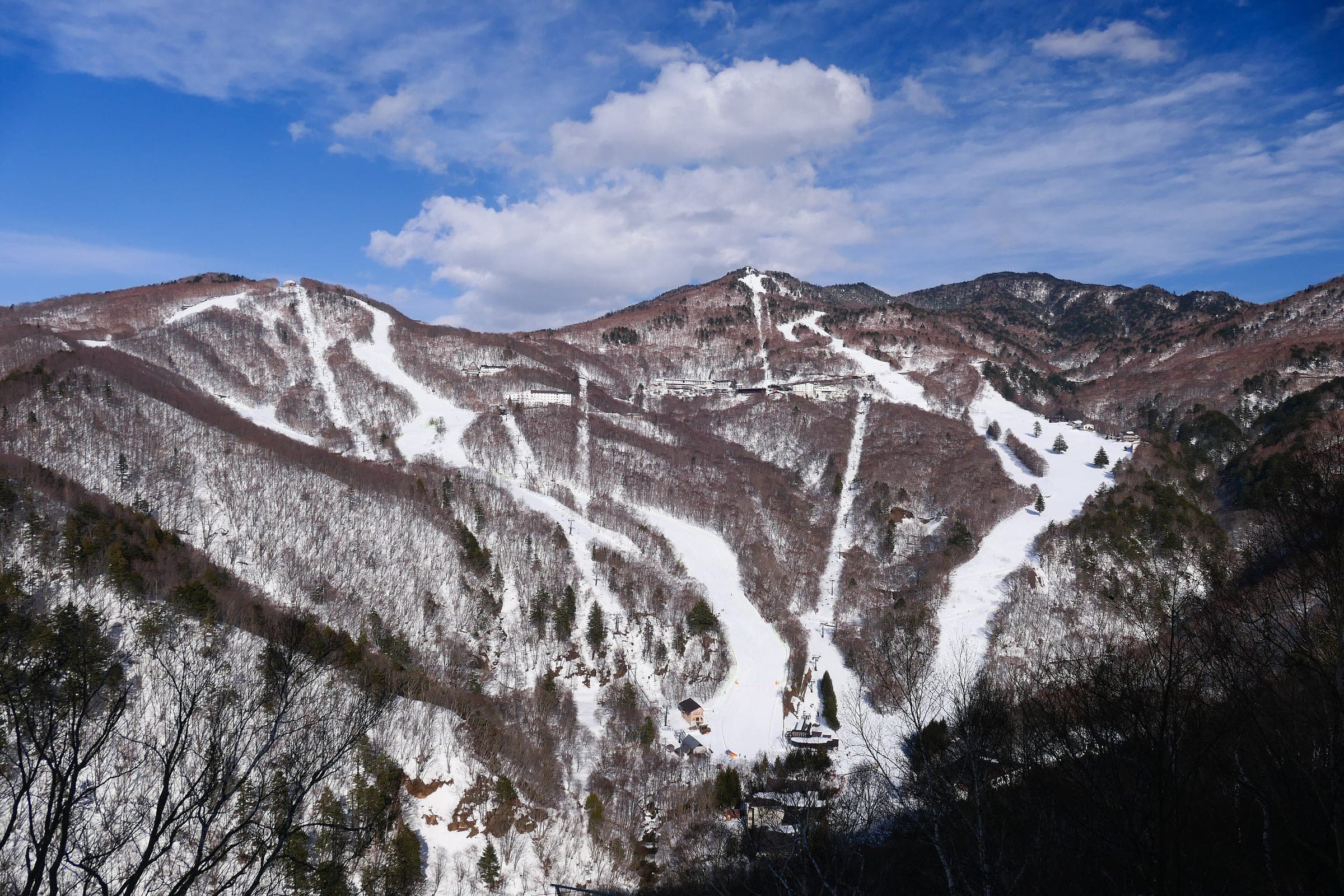 The runs of Nishidateyama and Hoppo Bunadaira cut down the wooded slopes of central Shiga Kogen