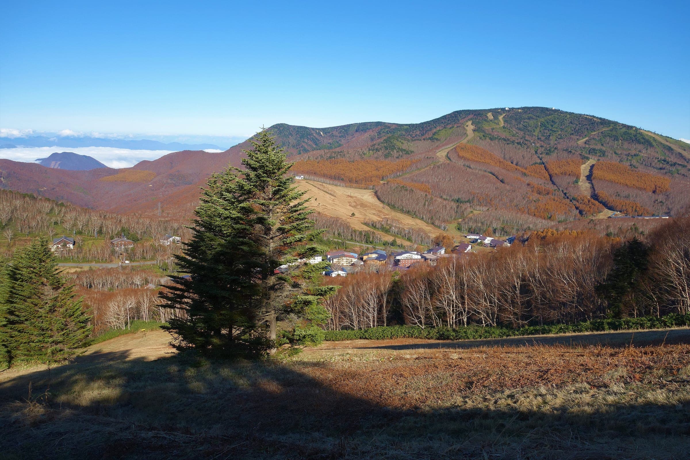 Mount Yakebitai turns copper in early November above the hotels at its base in Shiga Kogen