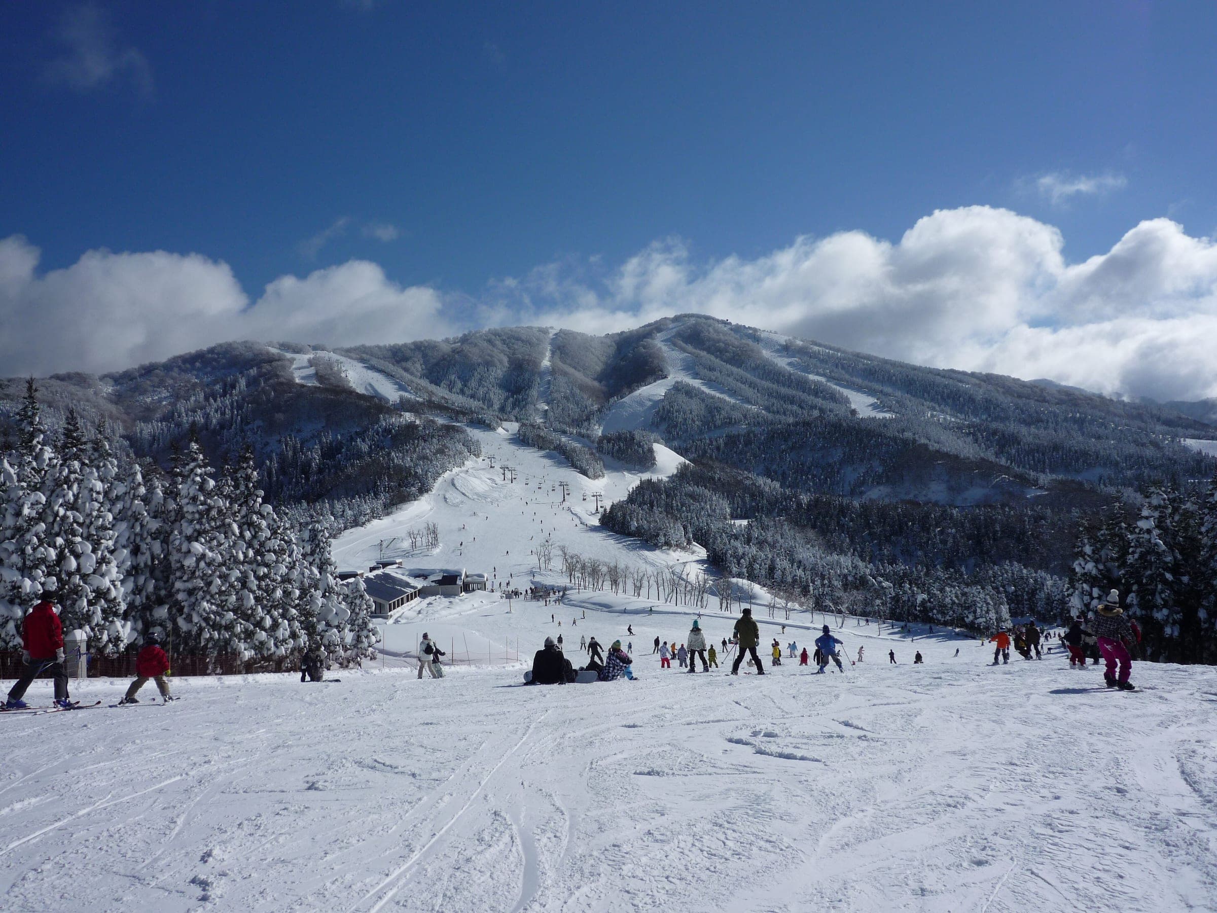 Skiers and snowboarders ride wide groomed slopes below snowy forest at JAM Fukui Katsuyama on a January day