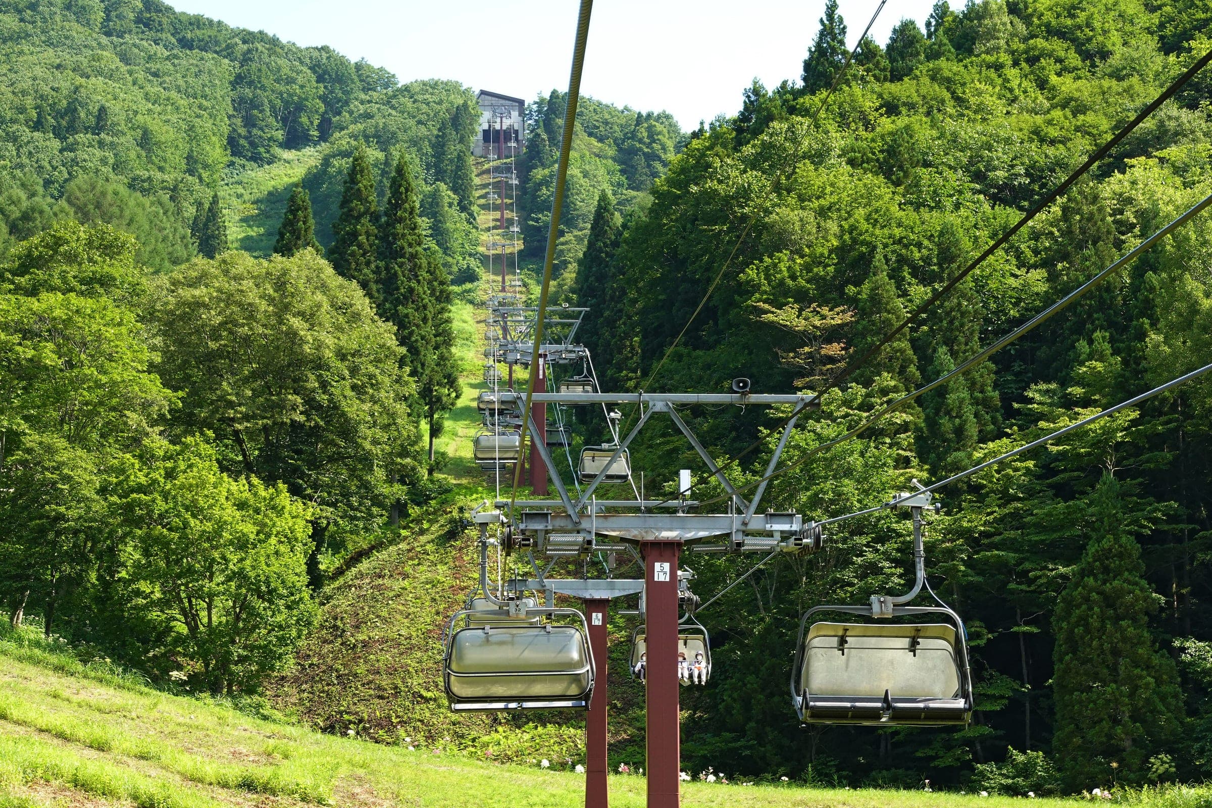 A Tangram chairlift climbs a green forested slope toward the Nojiriko Terrace in August