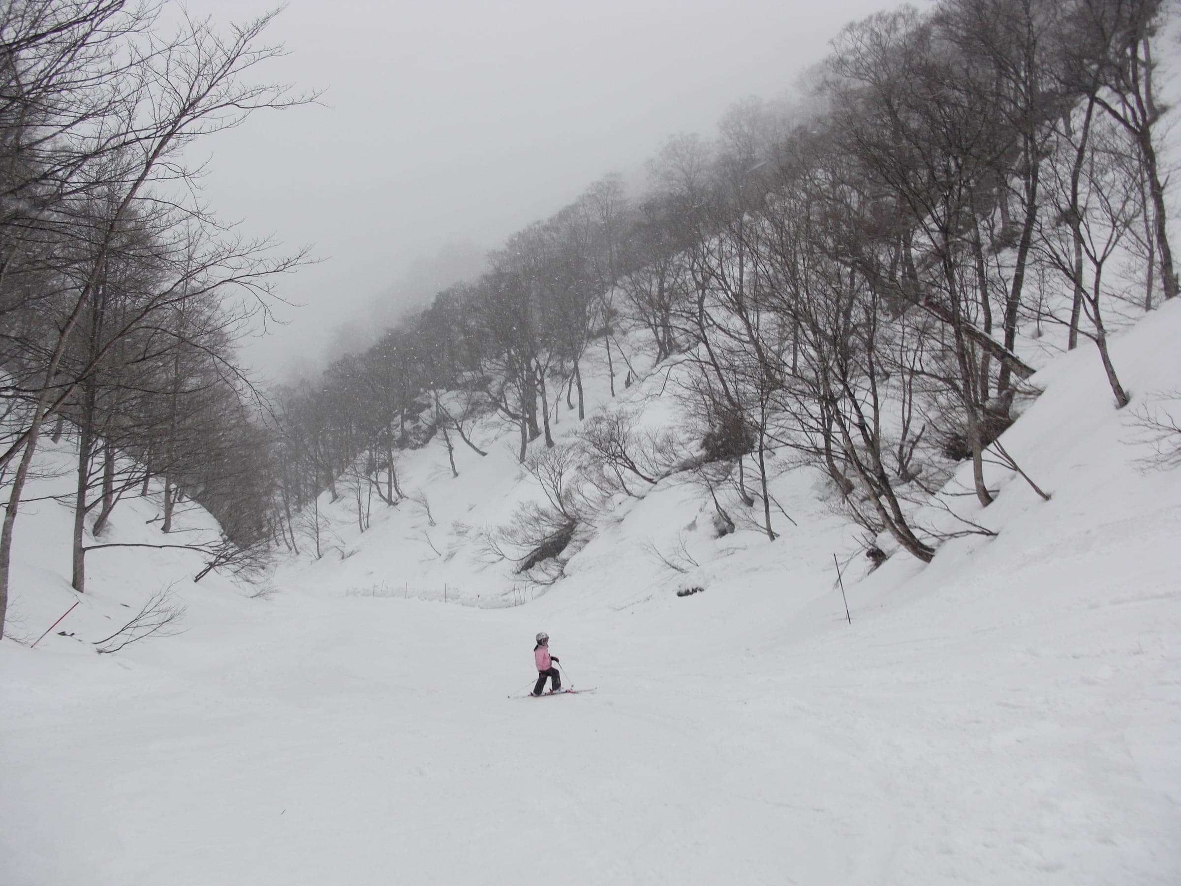 A lone skier heads down the Tajirizawa course at Tenjindaira through bare beech in fog