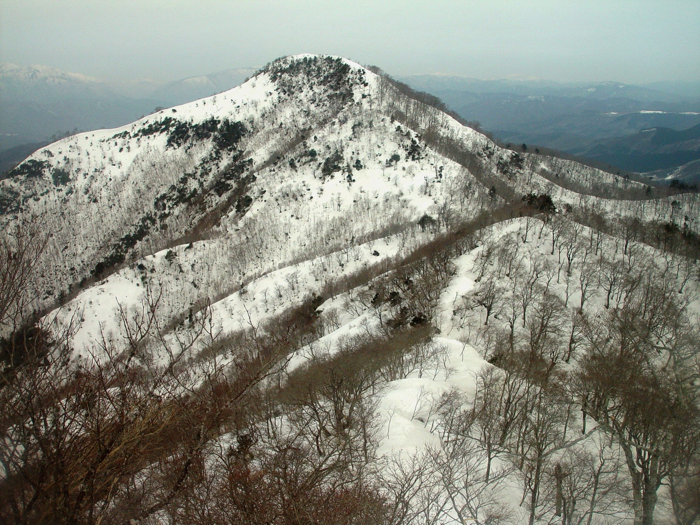 Snow and bare beech cover the summit ridge of Mount Washi above the Washigatake ski area in March