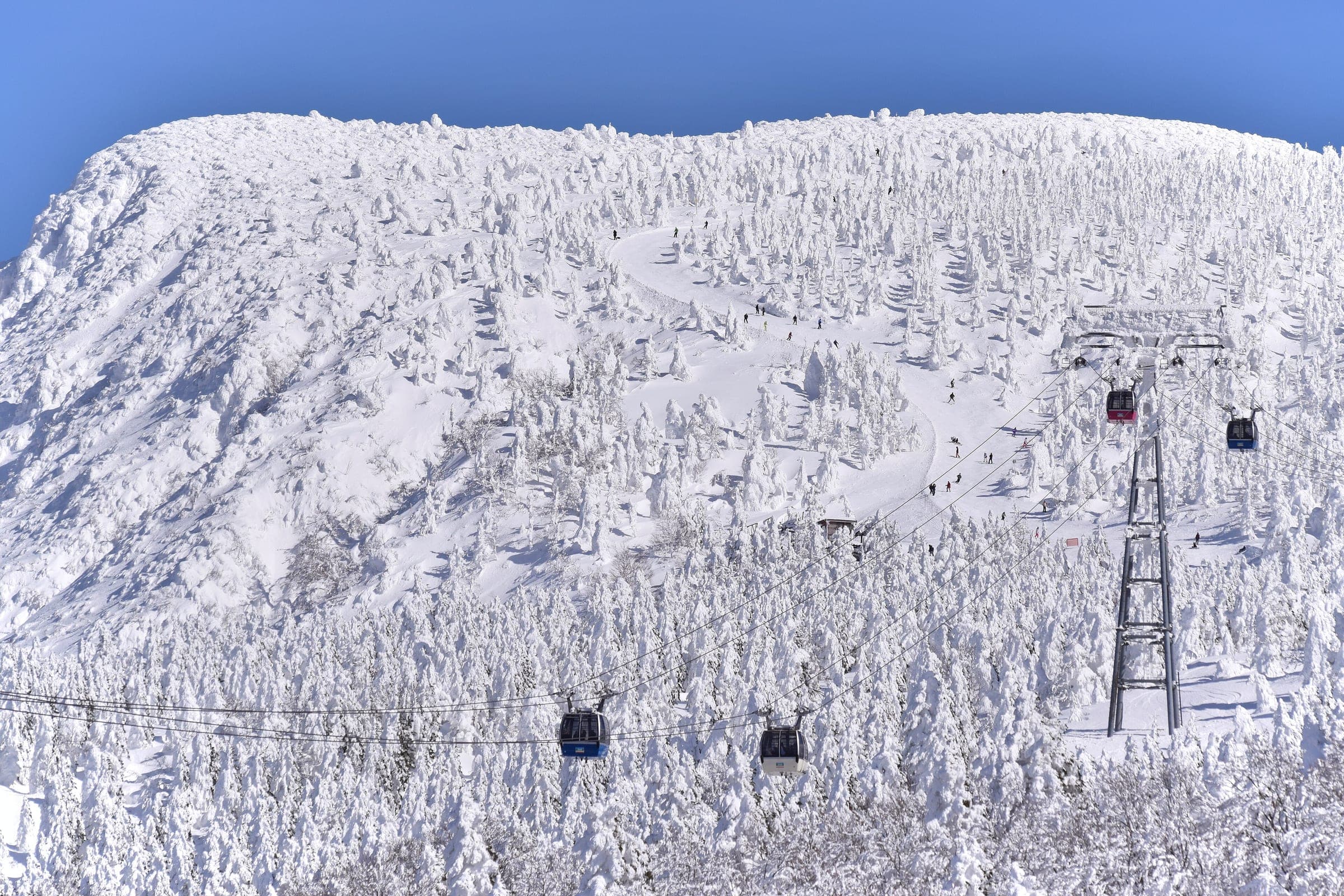 Ropeway cabins pass the juhyo-covered upper slopes of Zao Onsen under a clear February sky