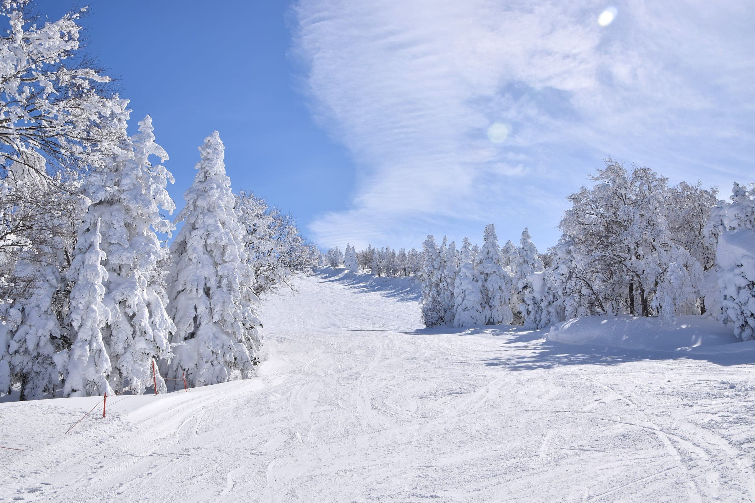 A groomed piste at Zao Onsen runs between rime-coated trees on a bright winter morning.