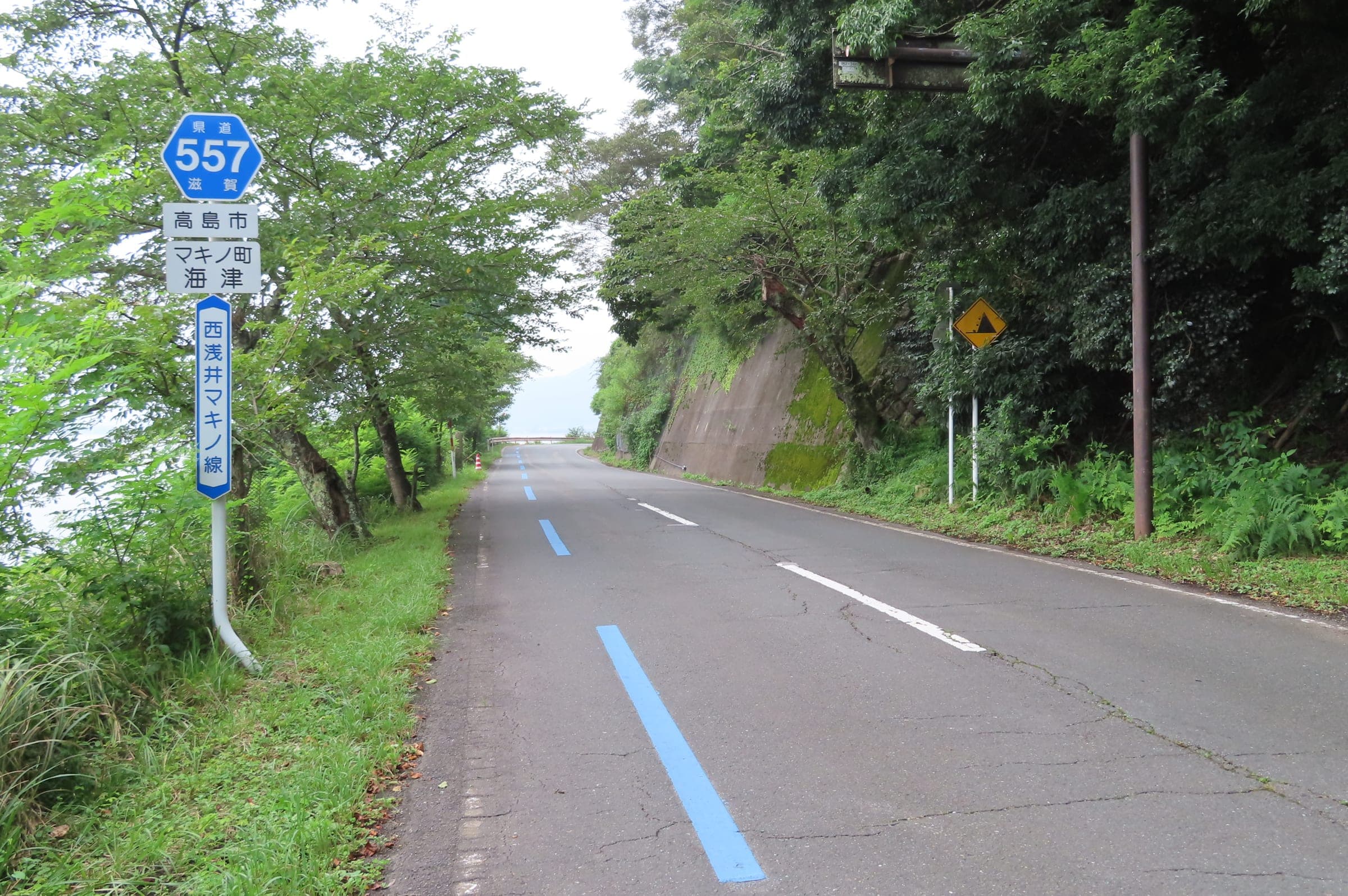 The blue Biwaichi guide line runs along a quiet lakeside road through the trees at Kaizu in Takashima