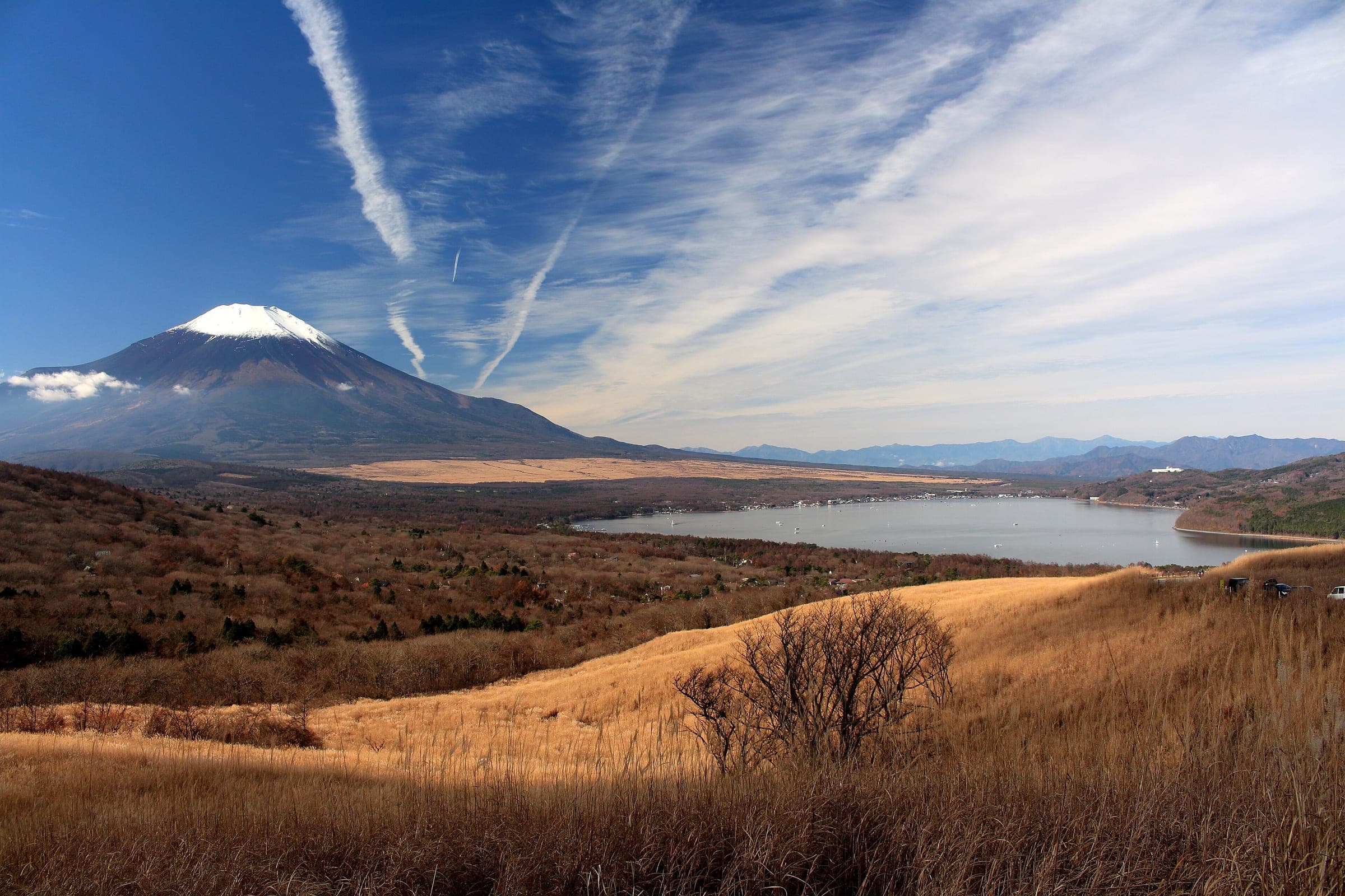Mt. Fuji and Lake Yamanaka spread below the golden autumn grass on the ridge of Mt. Teppoginoatama.