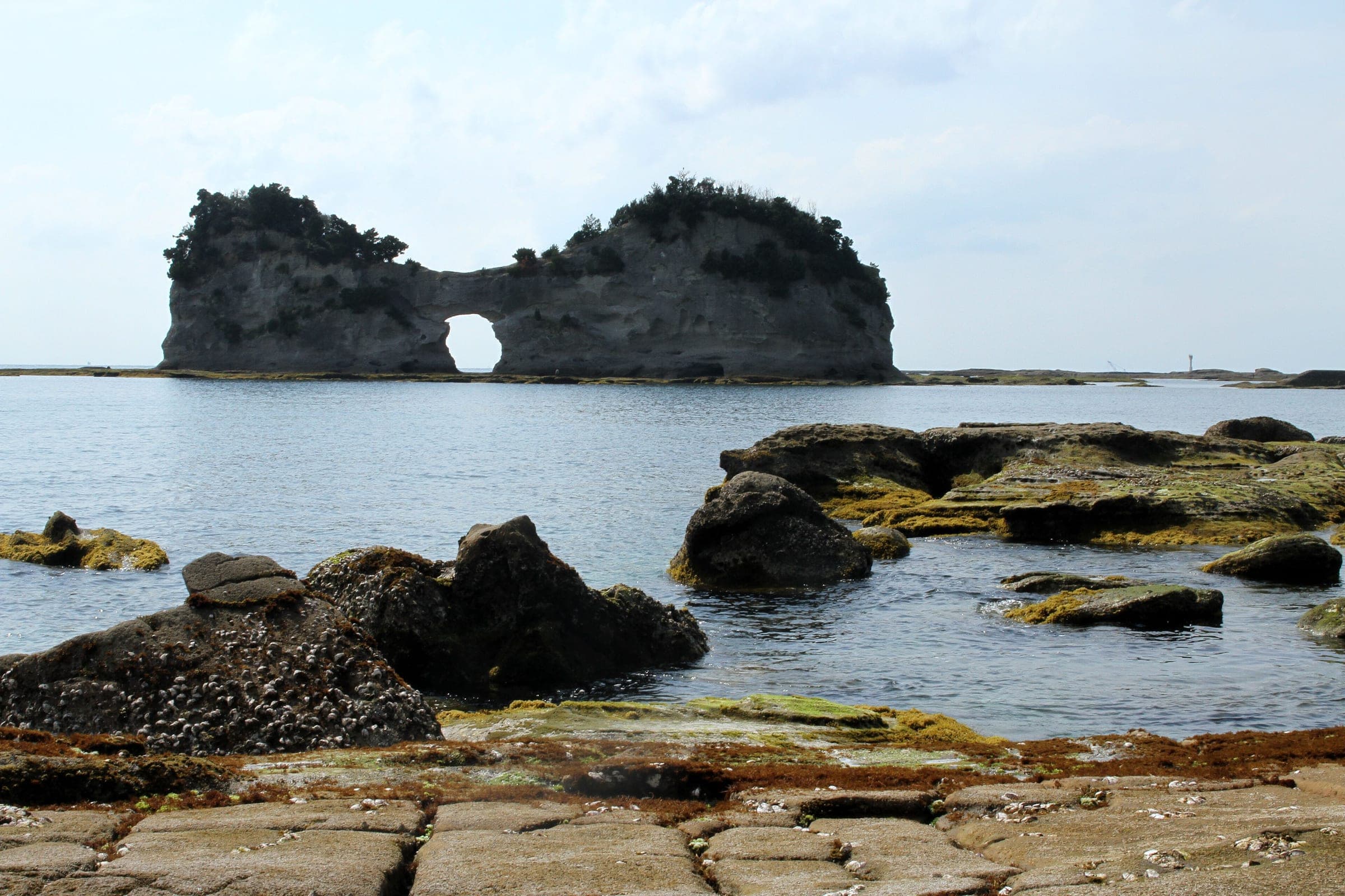 Engetsu Island's sea arch rises off the rock shelf at Shirahama in late March