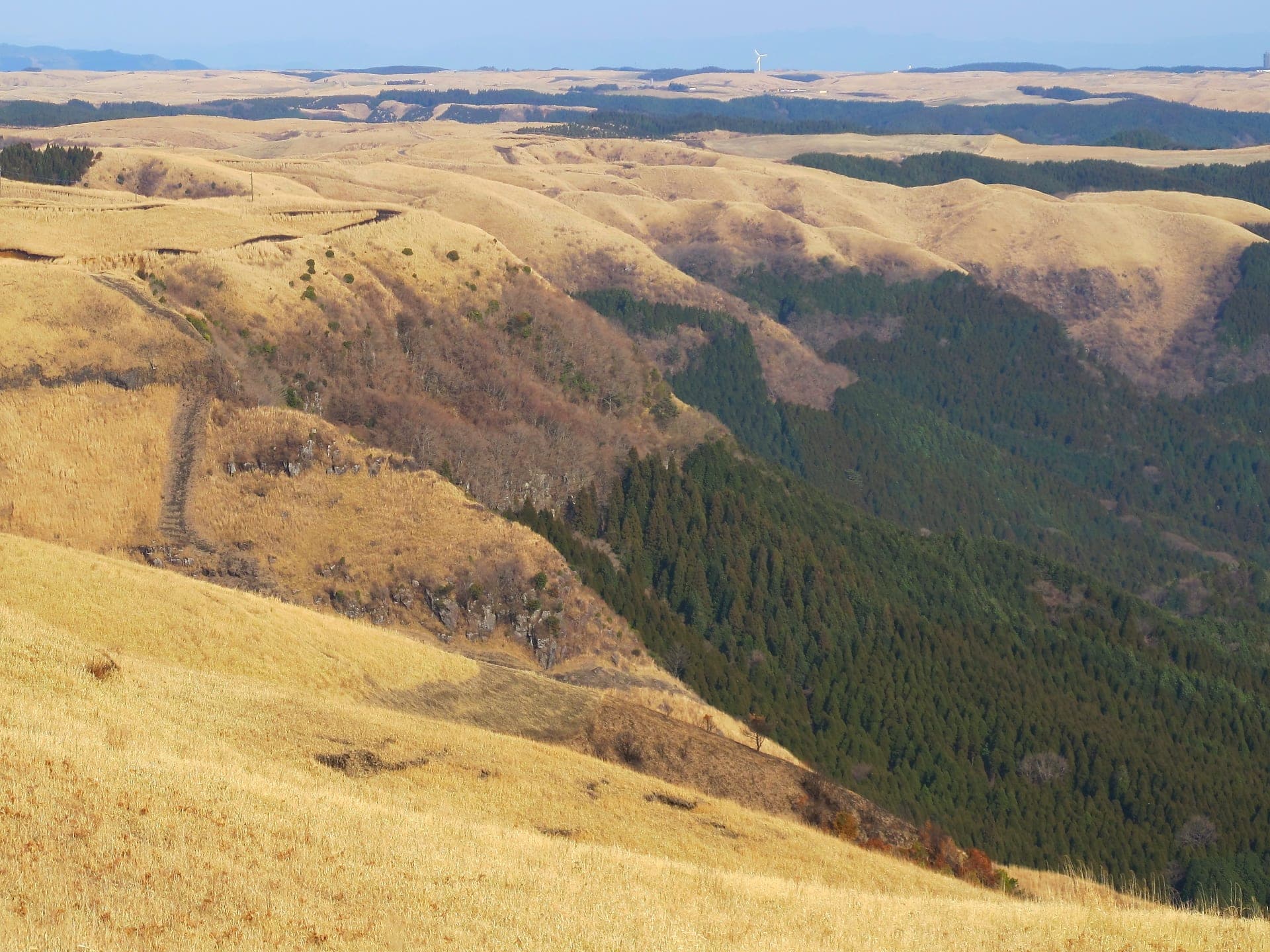 Golden winter grass and cedar forest fold down the outer rim of the Aso caldera near Daikanbo.